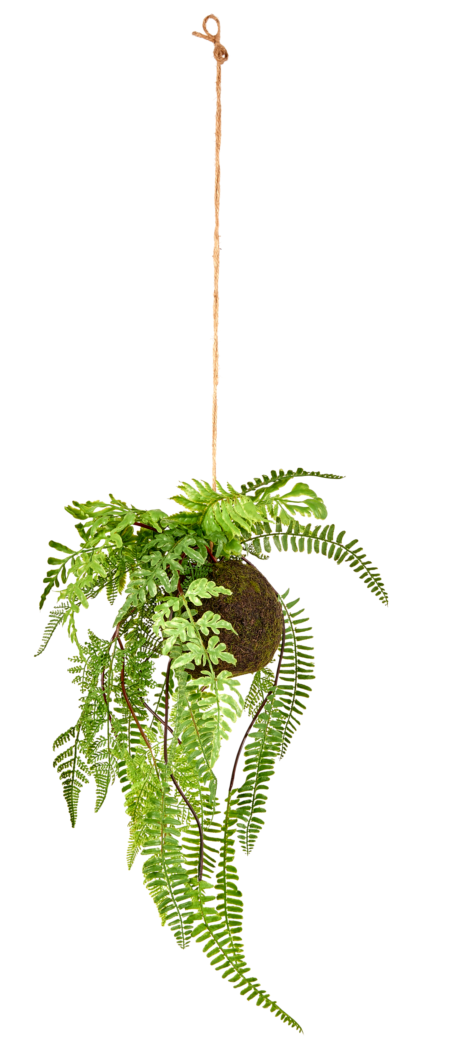 GREENERY Hangpot met varen groenH 22 cm - Ø 33 cm
