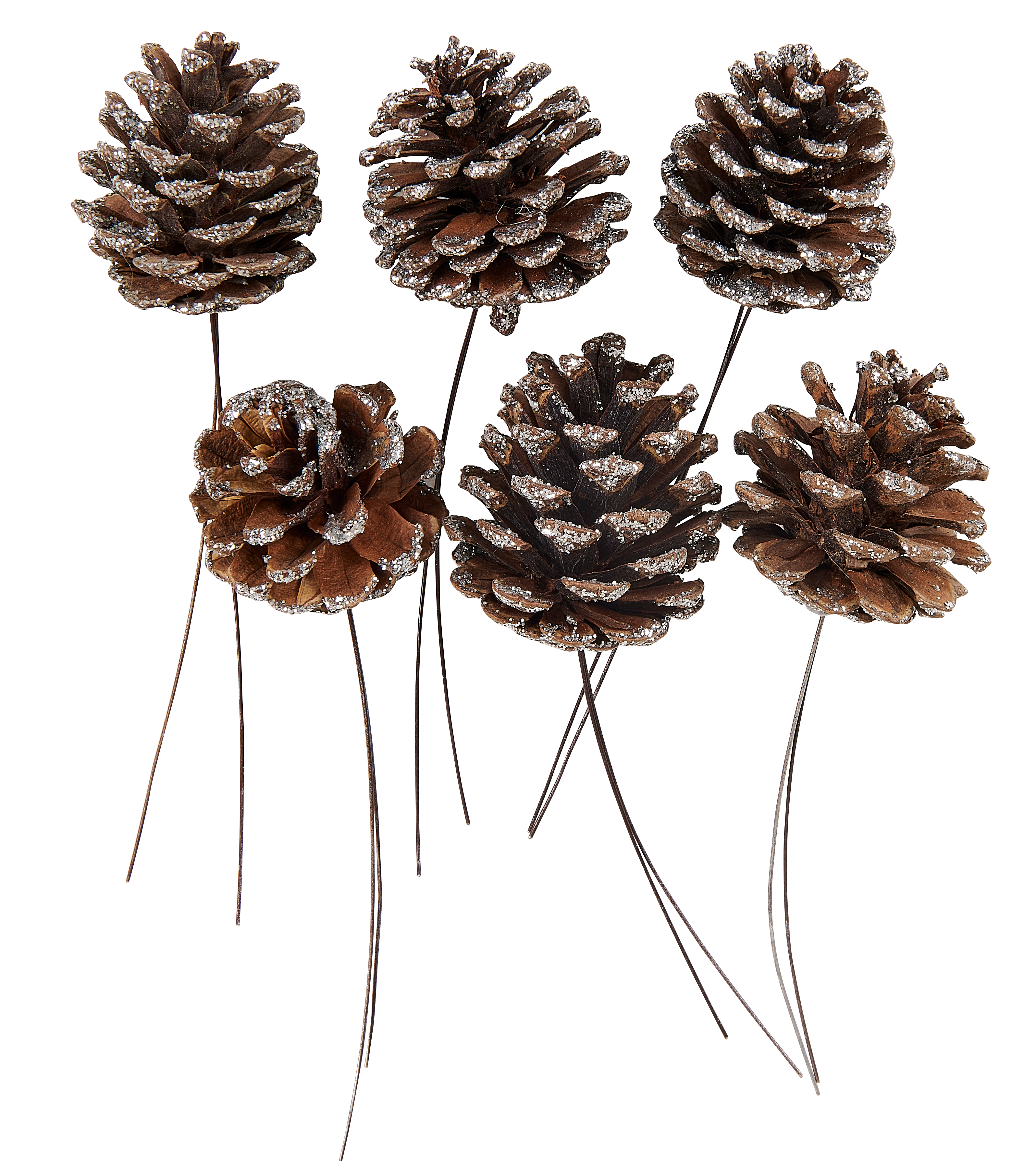 PINECONE Dennenappels set vn 6 2 kleuren wit, zilverL 10 cm - CASA