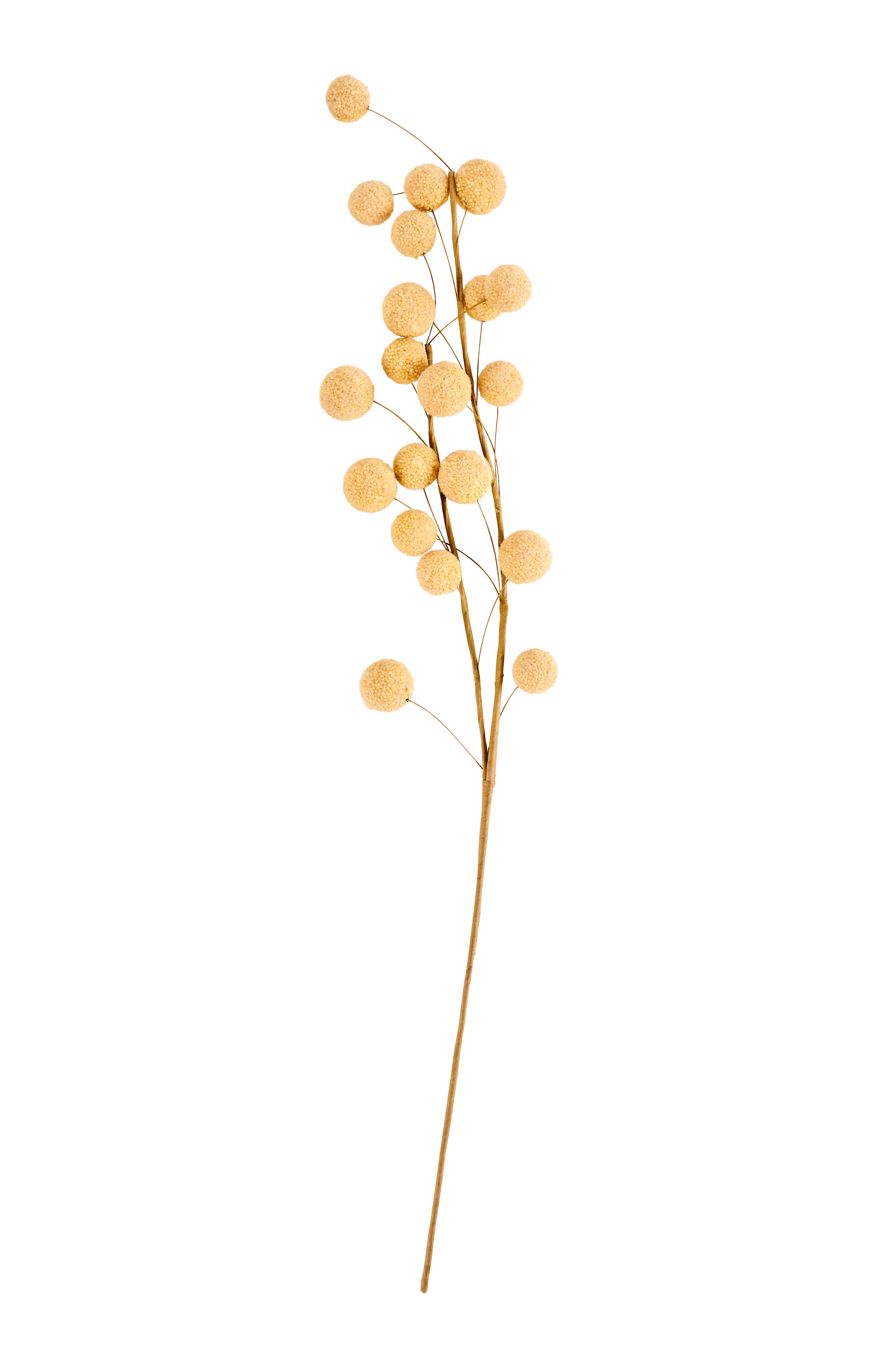 TRIFOLIUM Bloementak geelL 73 cm