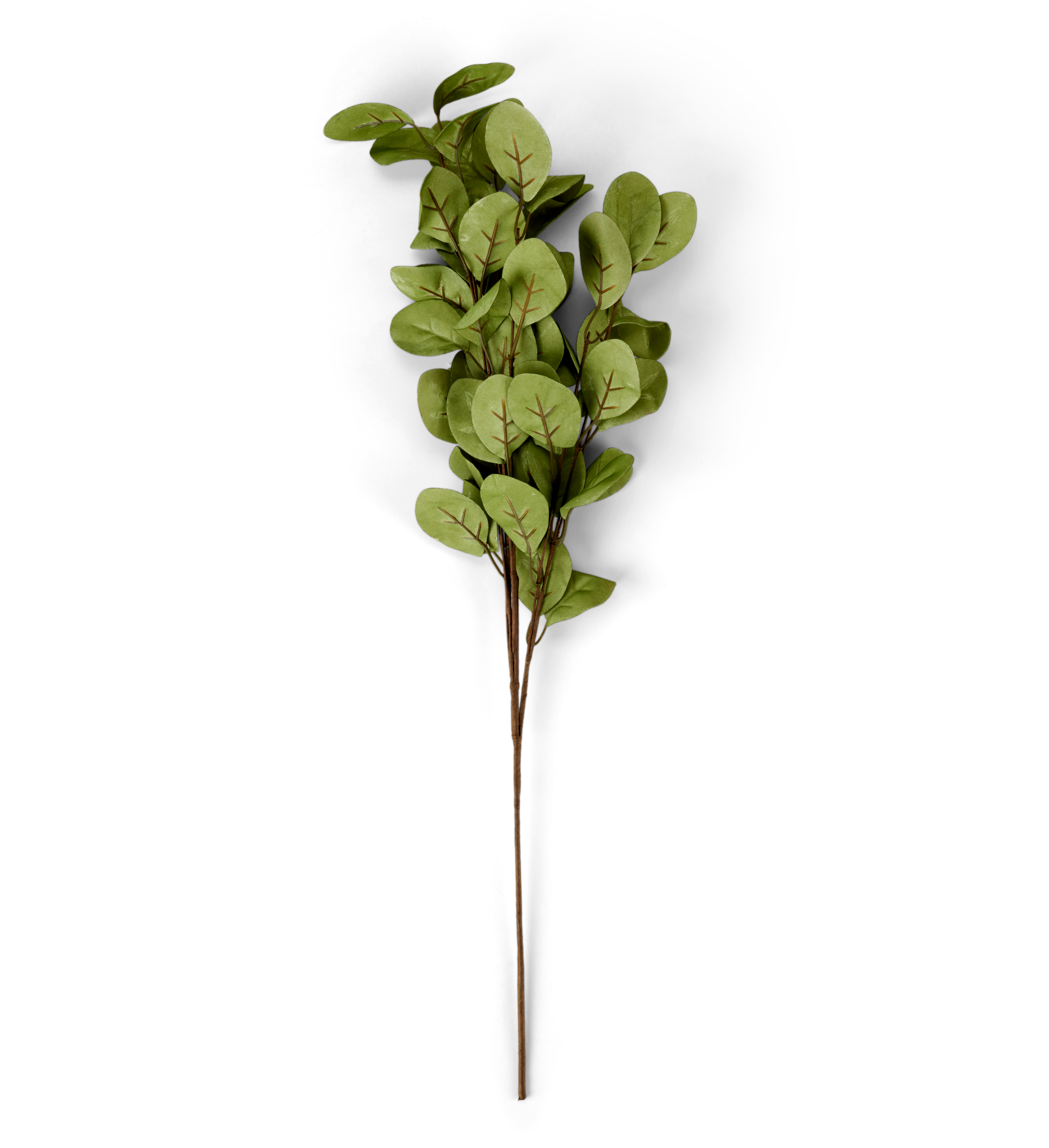 EVA Eucalyptus groenL 80 cm