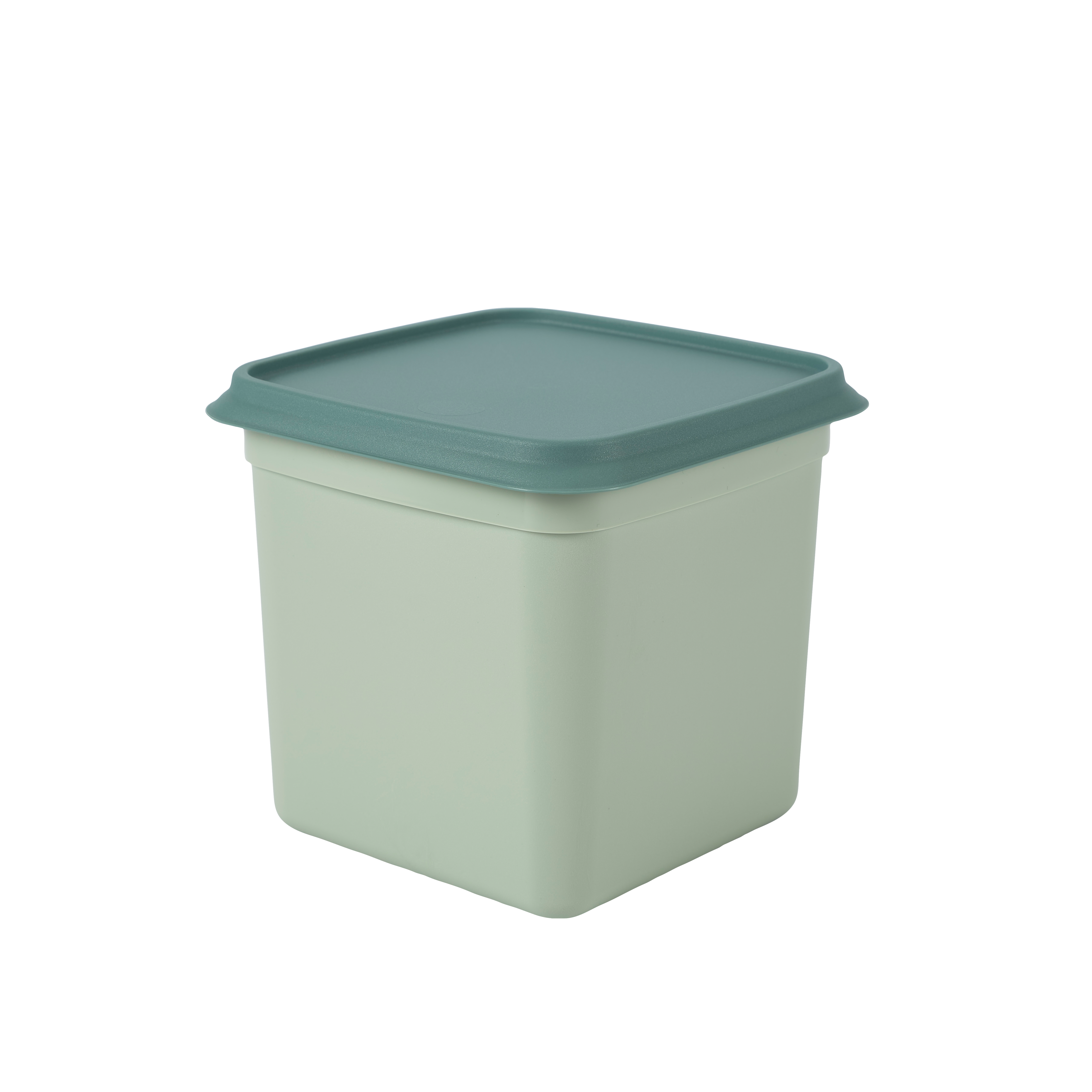 FREEZER Diepvriesdozen set van 10 munt, donkergroen