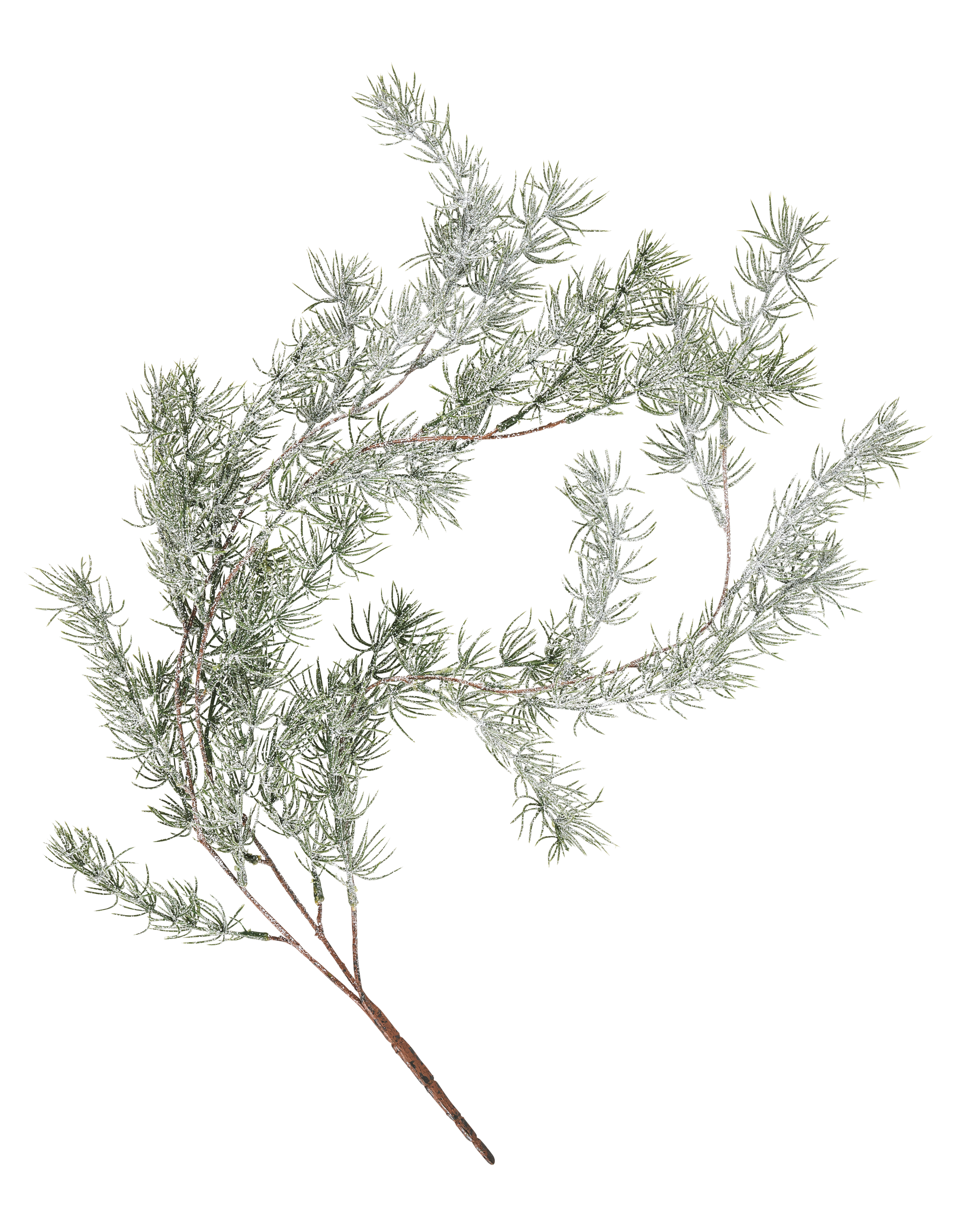 CEDER Decoratieve tak groenL 74 cm