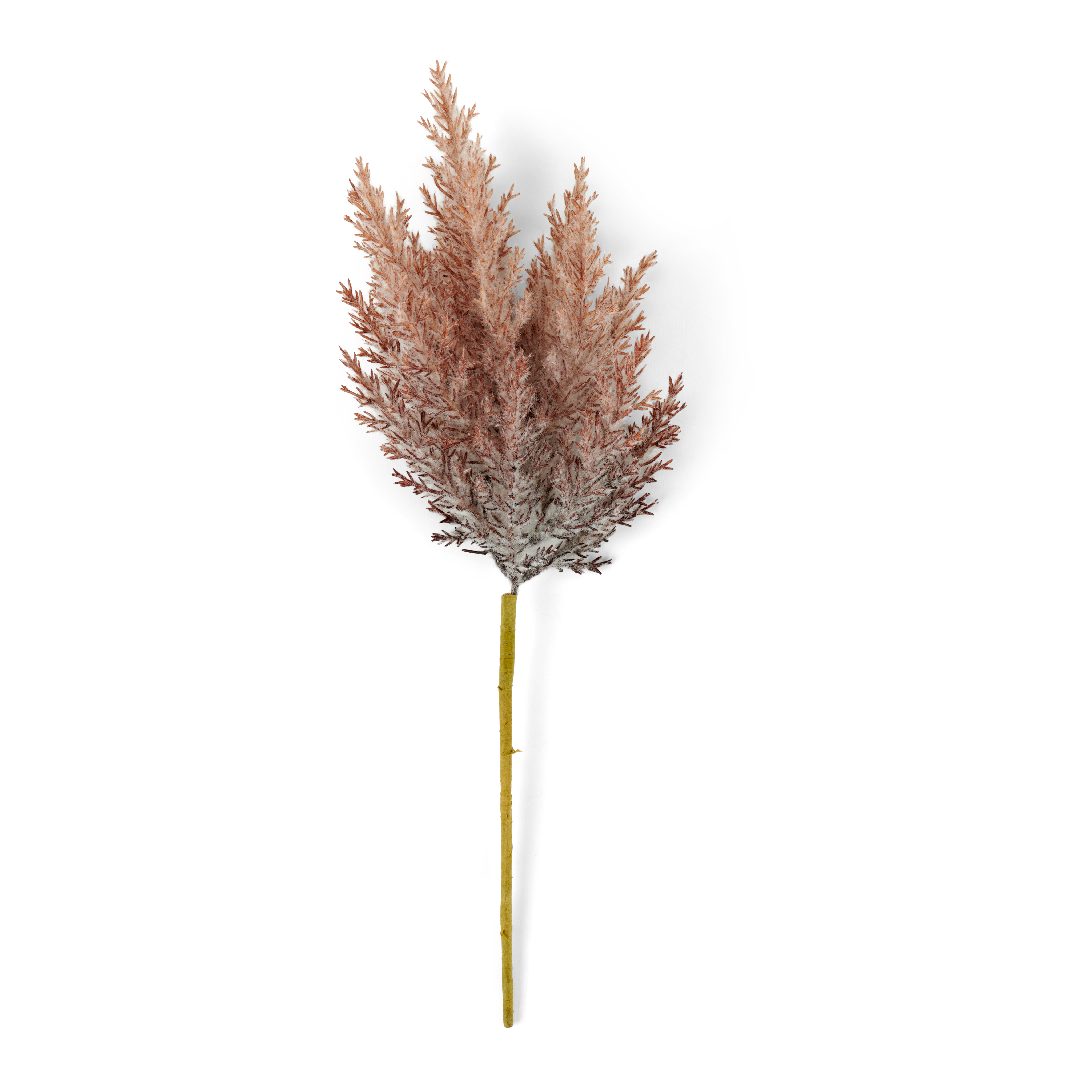 PLUME Pluimen stengel oranjeL 39 cm