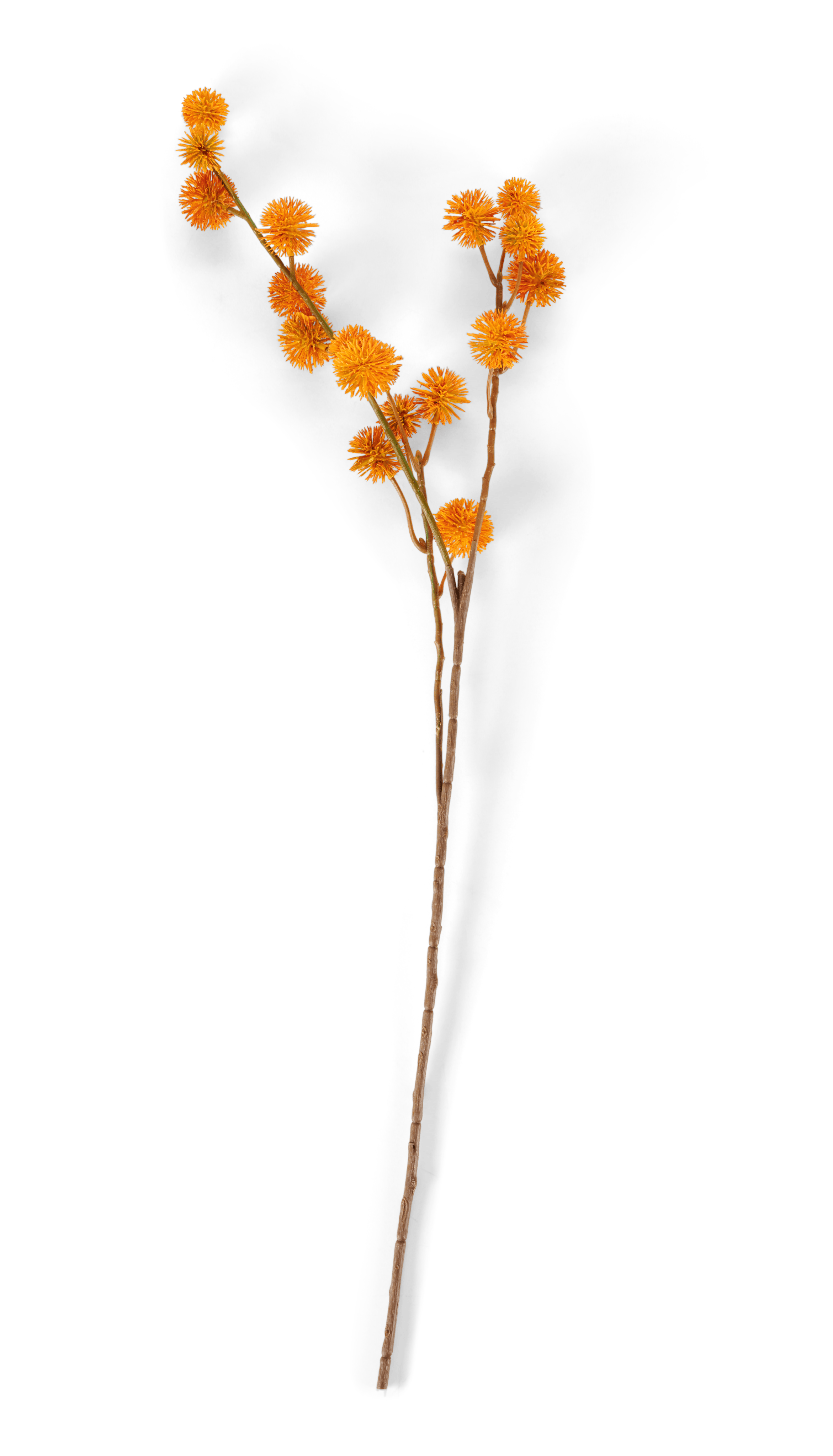 DANDIL Stengel geelL 85 cm
