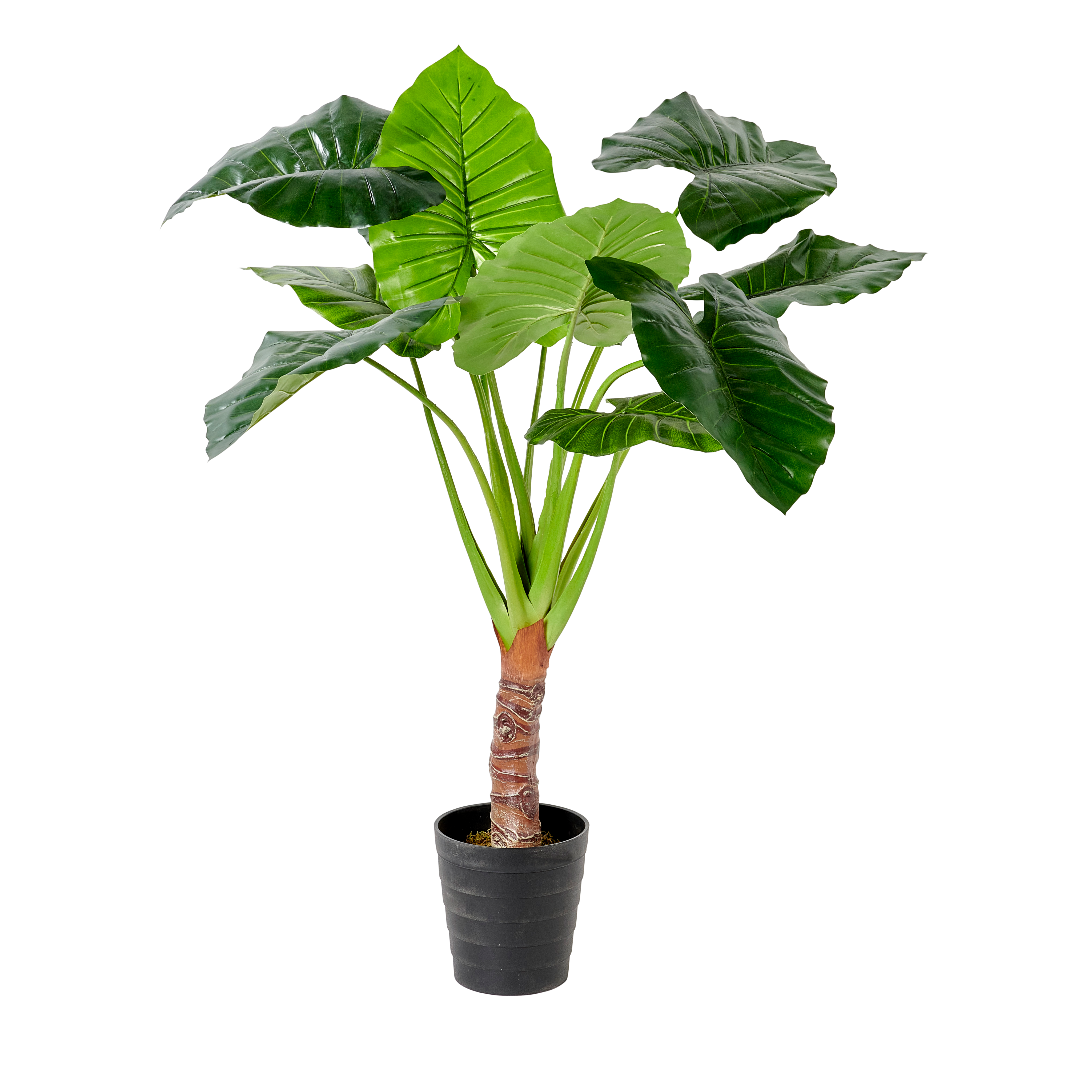 TARO KUNSTPLANT ARONSKELK groenH 130 x B 110 cm