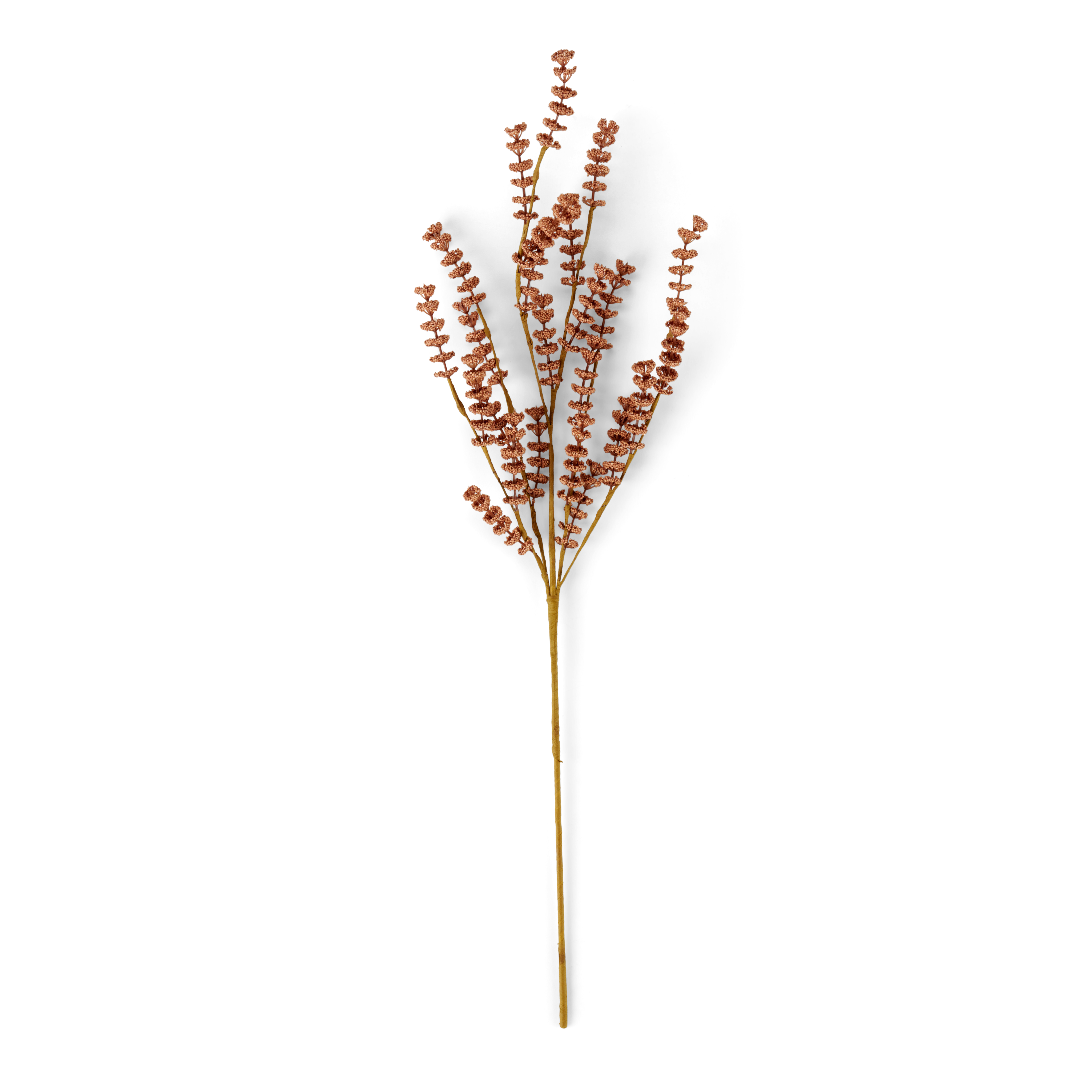 MOTHERWORT Kruidentalk rozeL 68 cm