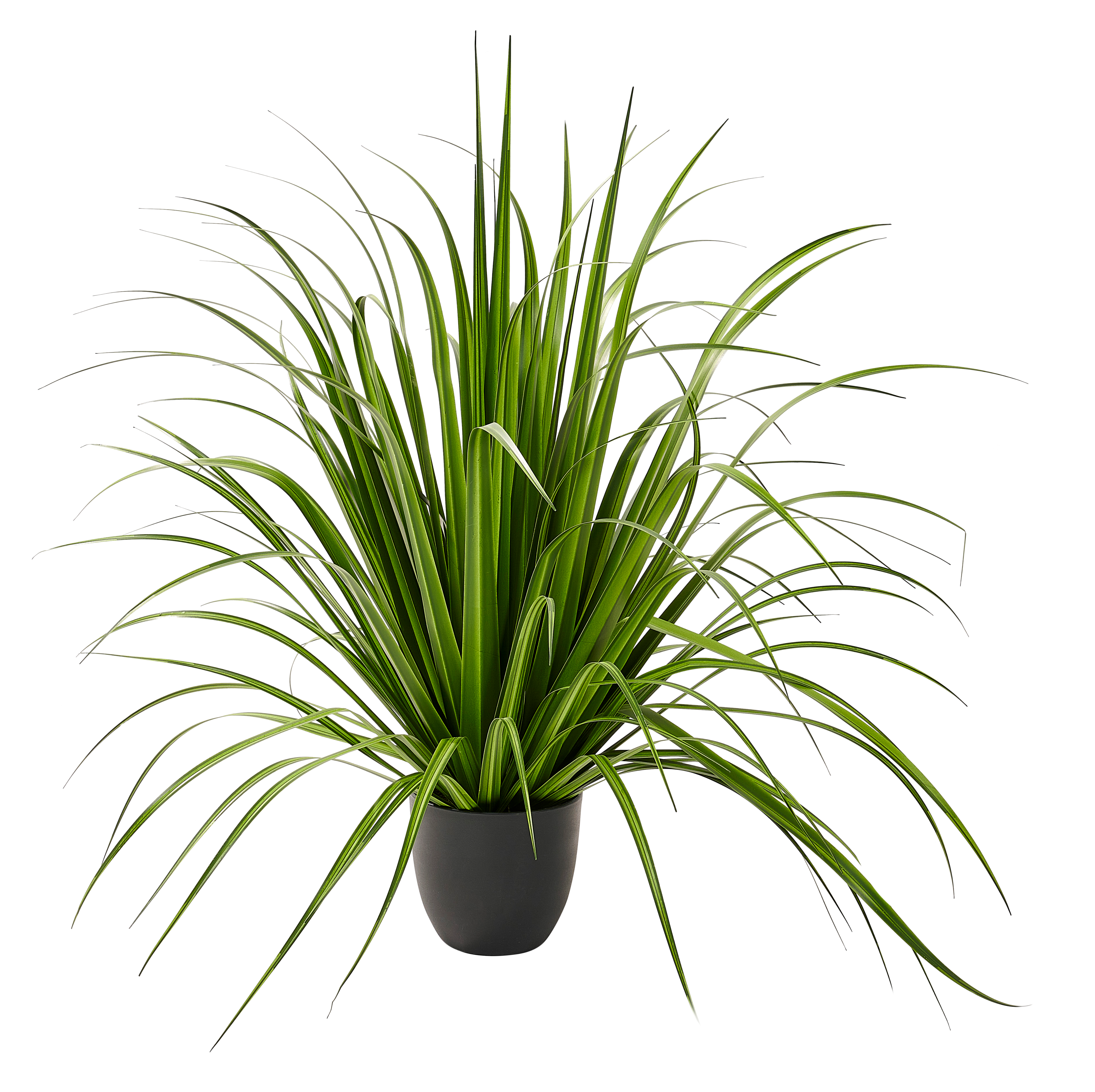 ALLIUM Siergras groenH 94 cm - Ø 109,2 cm