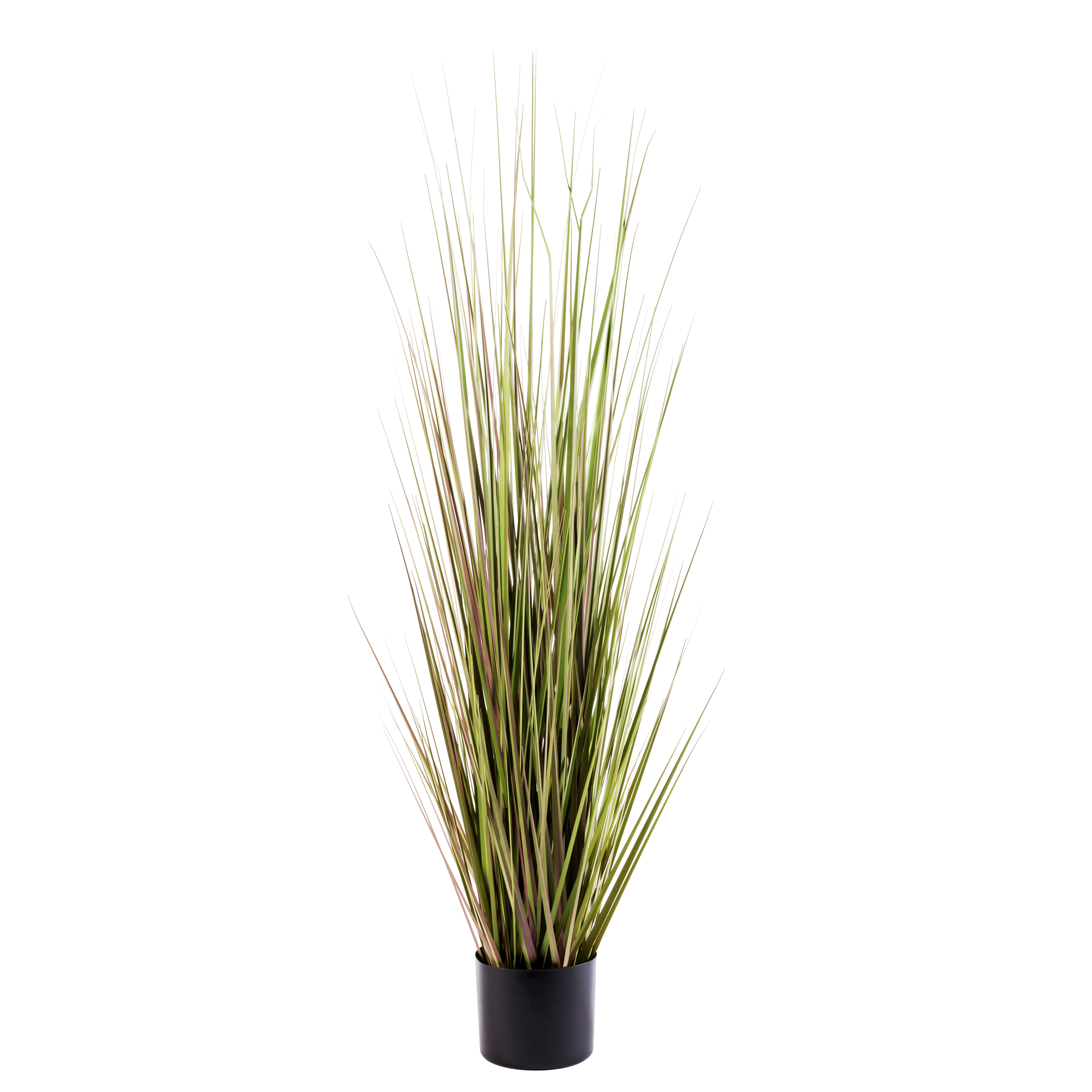 HERBA Gras in pot groenH 120 cm - Ø 15 cm - Ø 60 cm