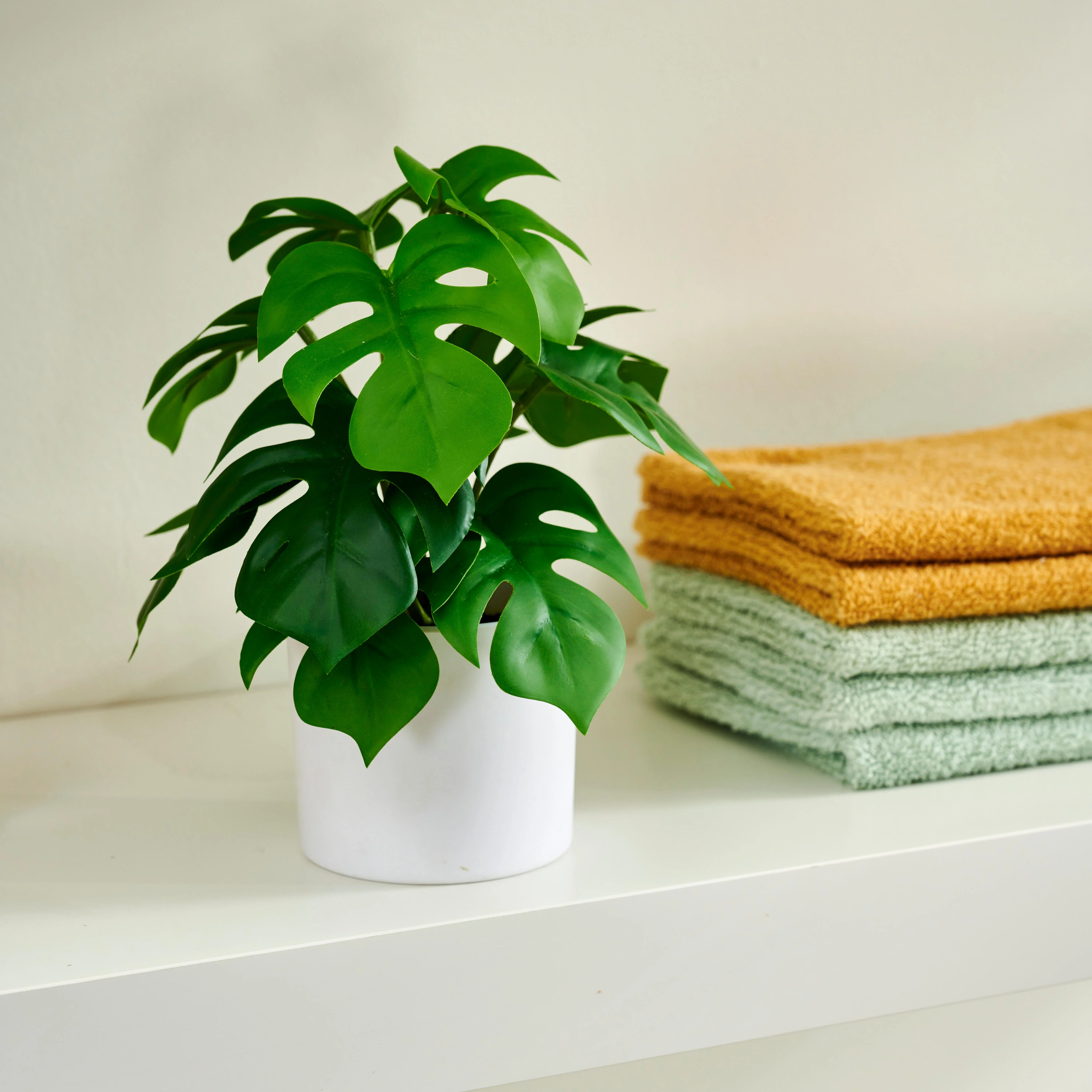MONSTERA Plant diverse kleurenH 20,5 cm - Ø 23 cm