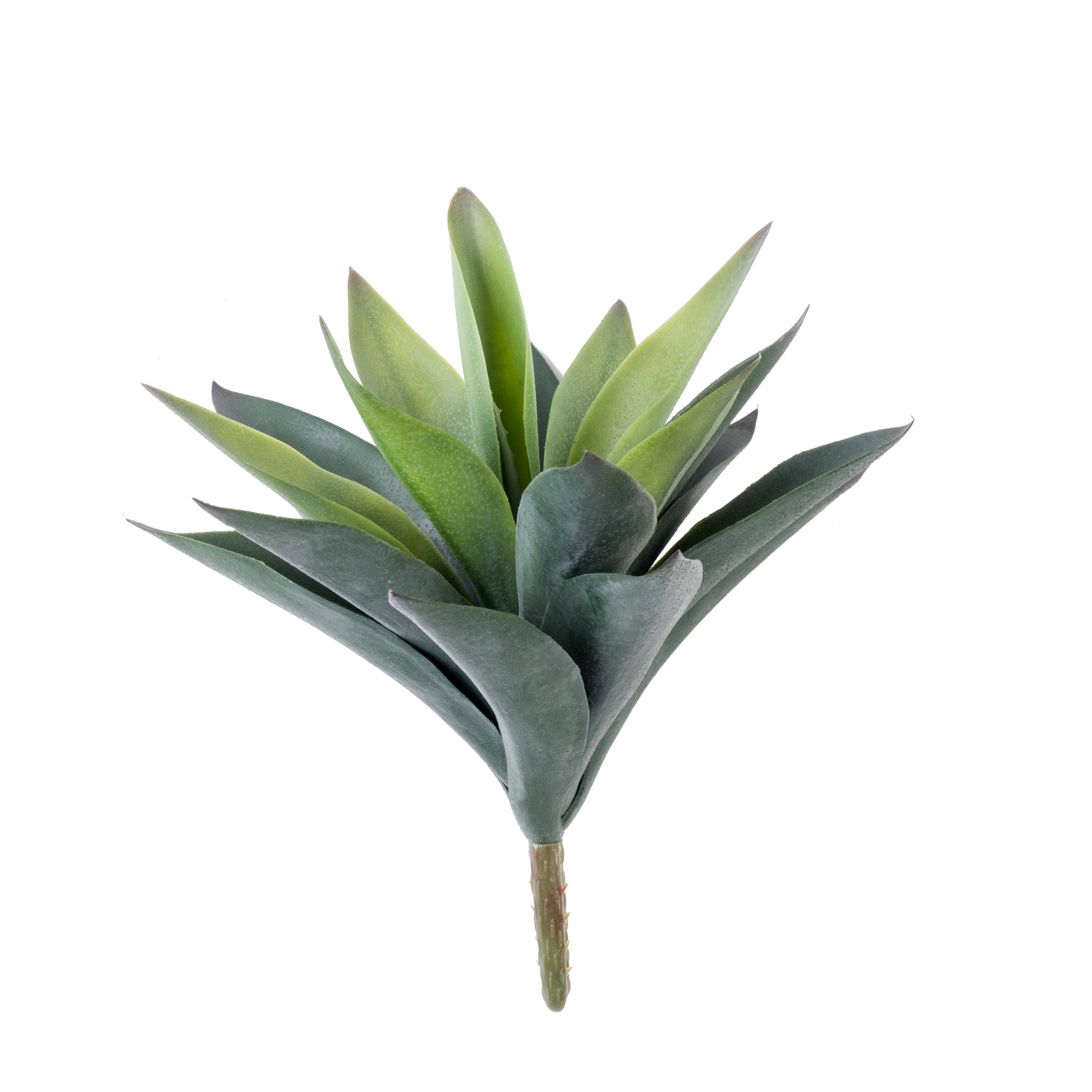 VERA Vetplant op stick groenL 24 cm - Ø 24 cm
