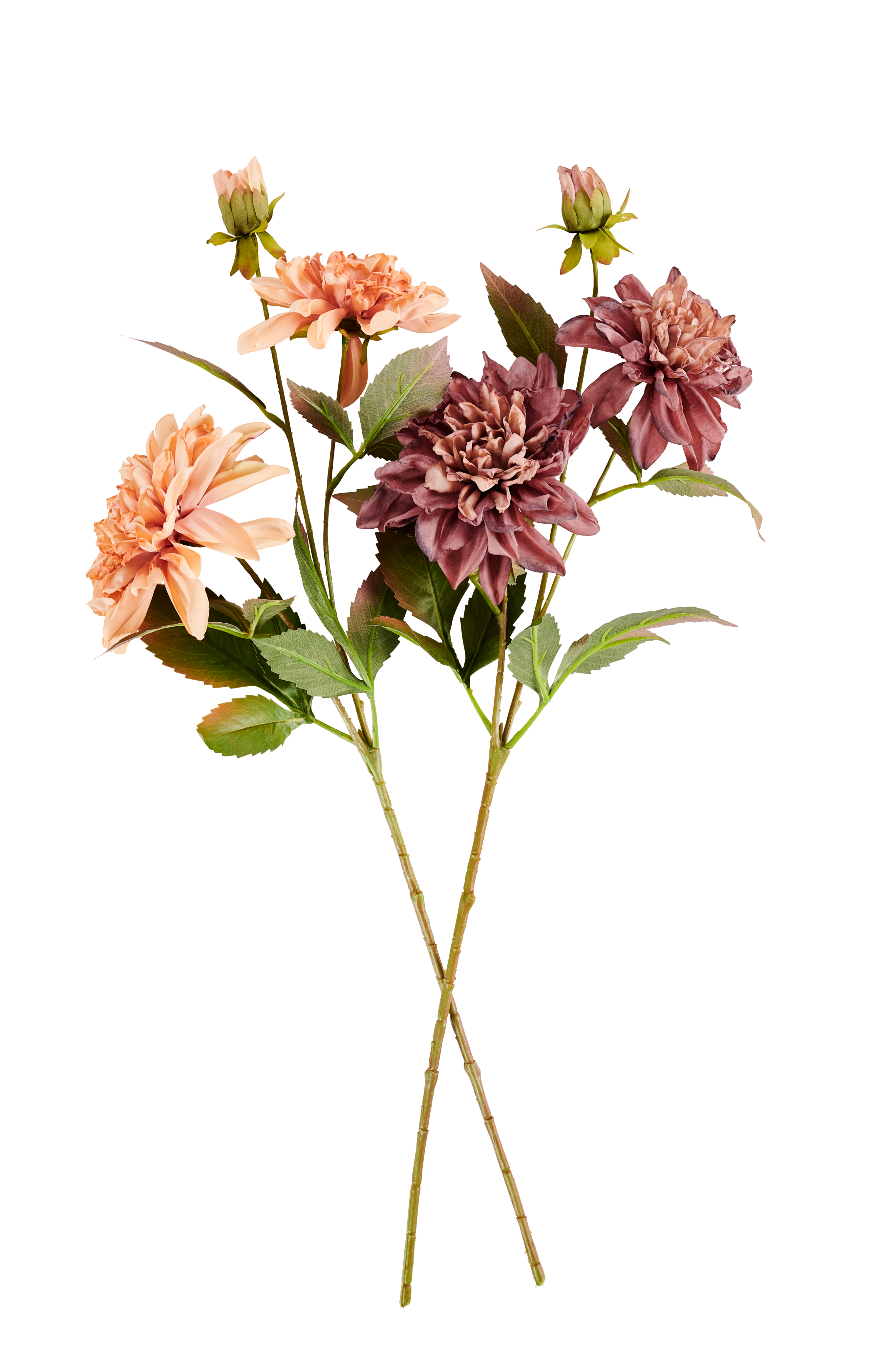 DAHLIA Bloementak perzikrozeL 70 cm