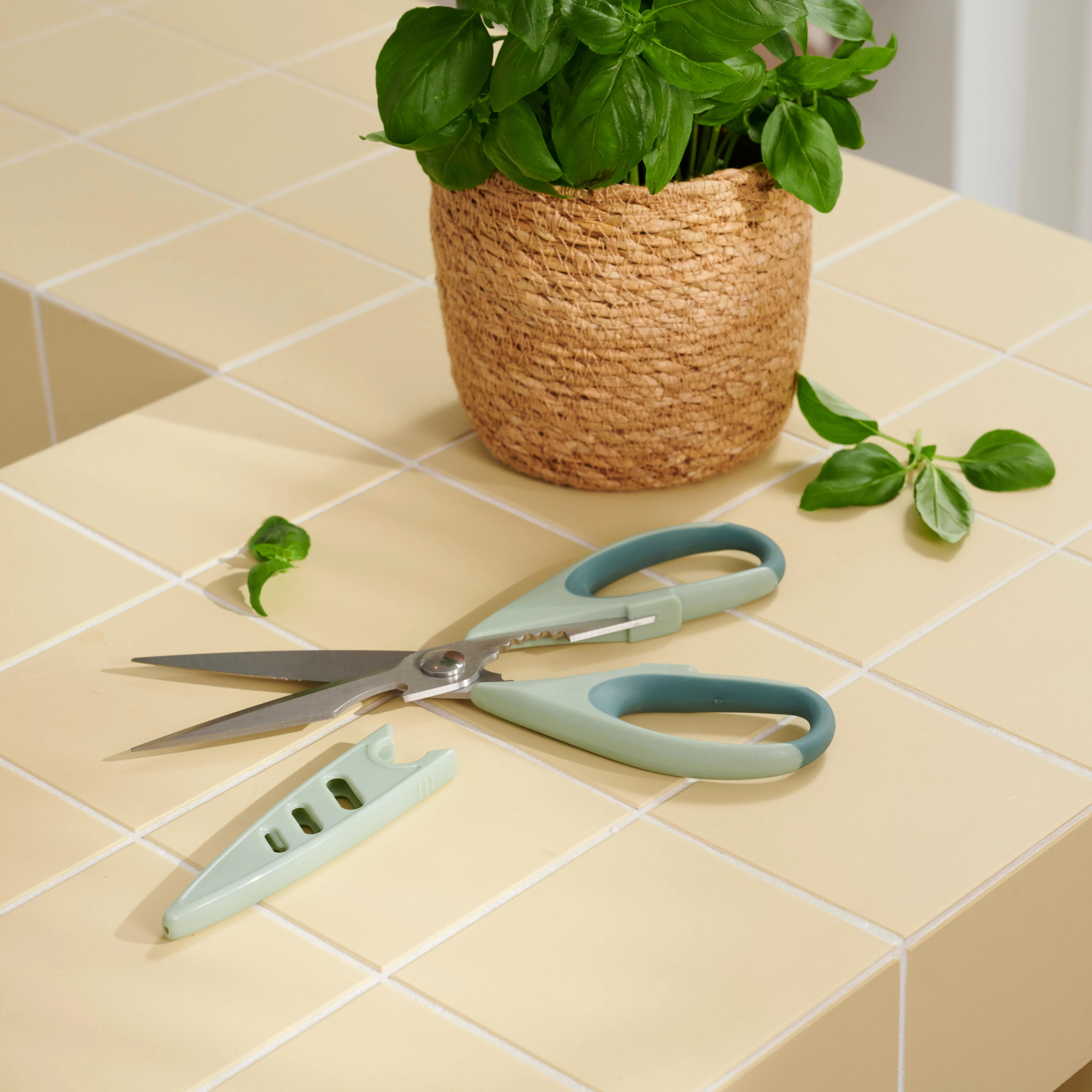 CUISINO Schaar muntL 22 x D 2,5 cm