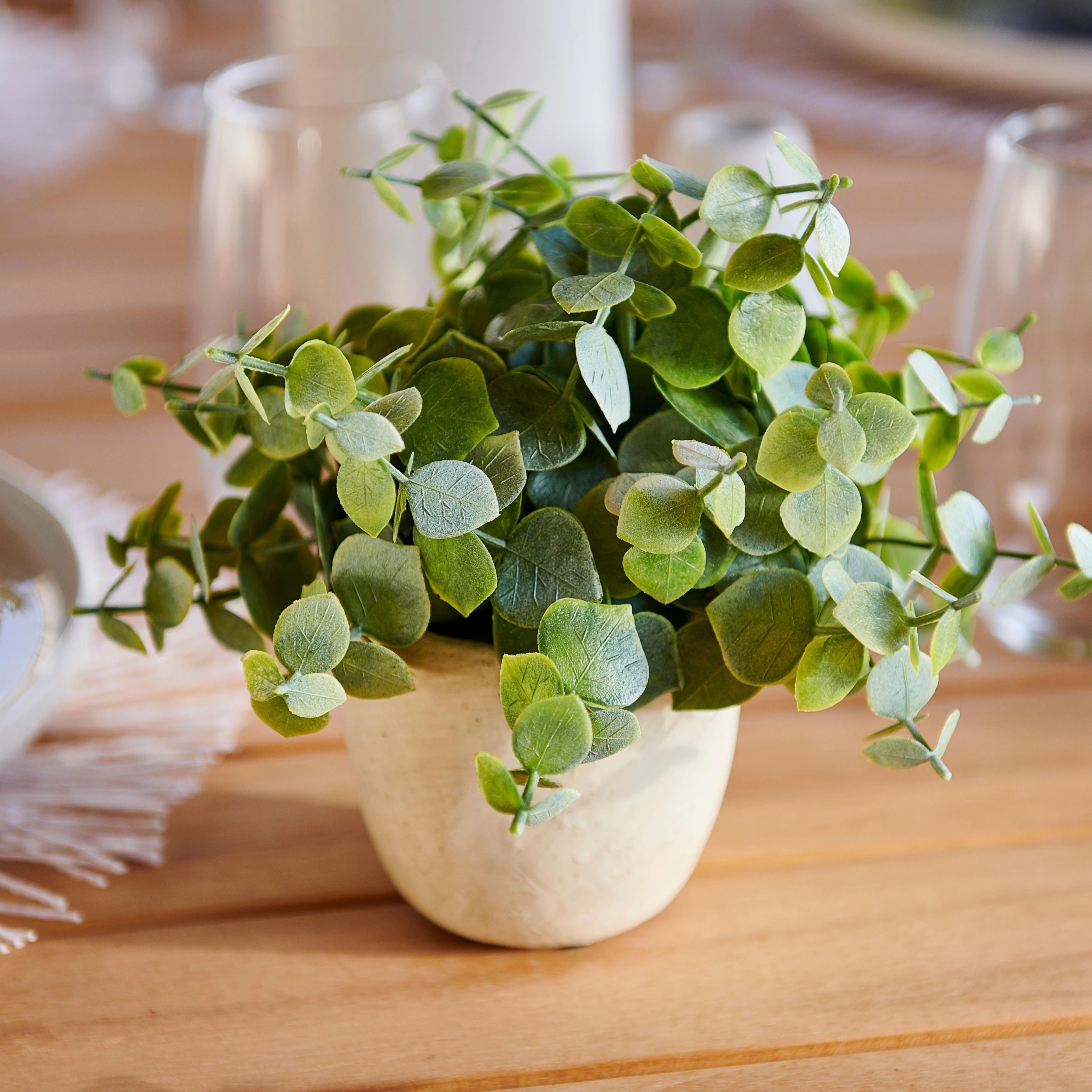 TERRA Plant in pot wit, groenH 19 cm - Ø 6 cm