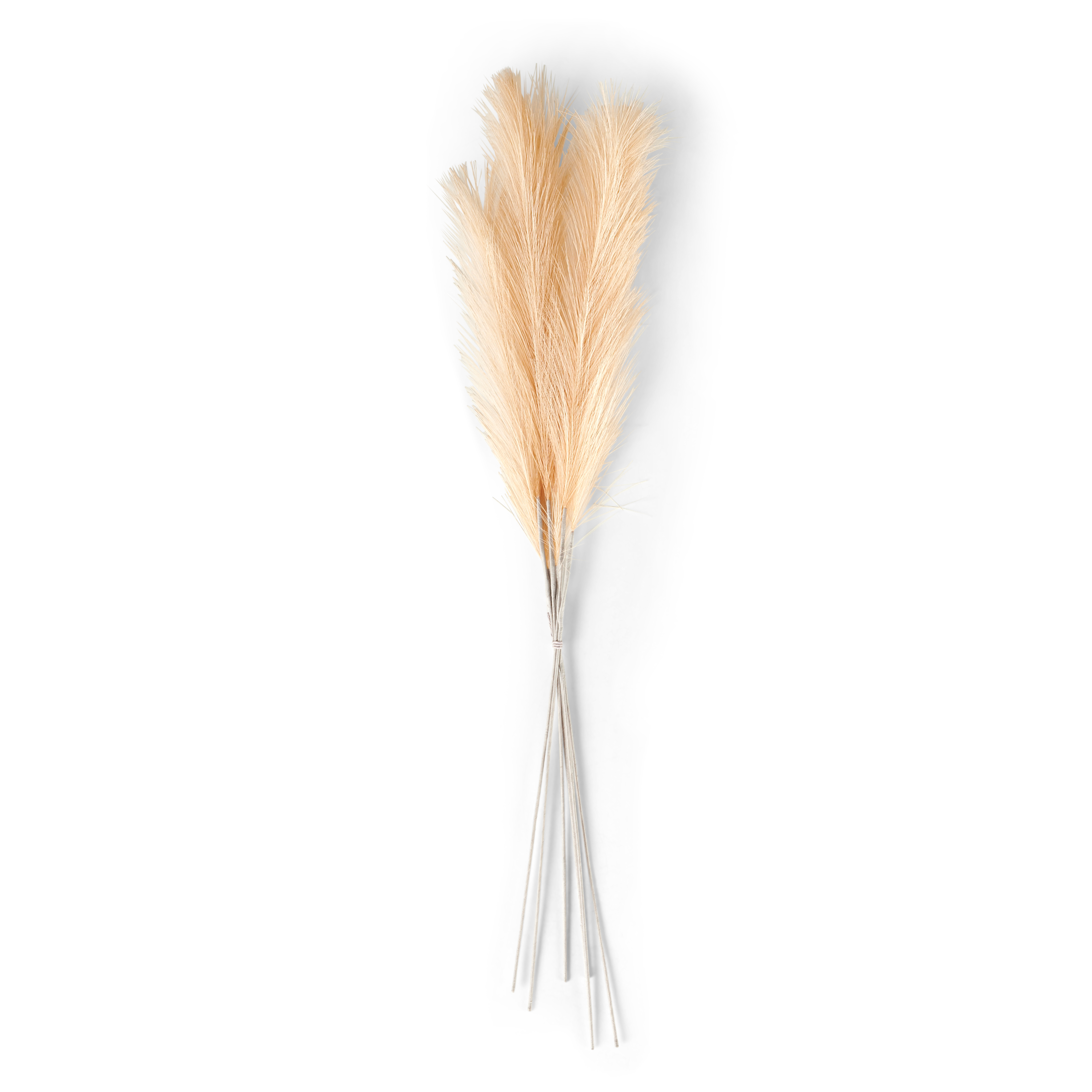PLUME Decoratieve pluimen crèmeL 72 cm