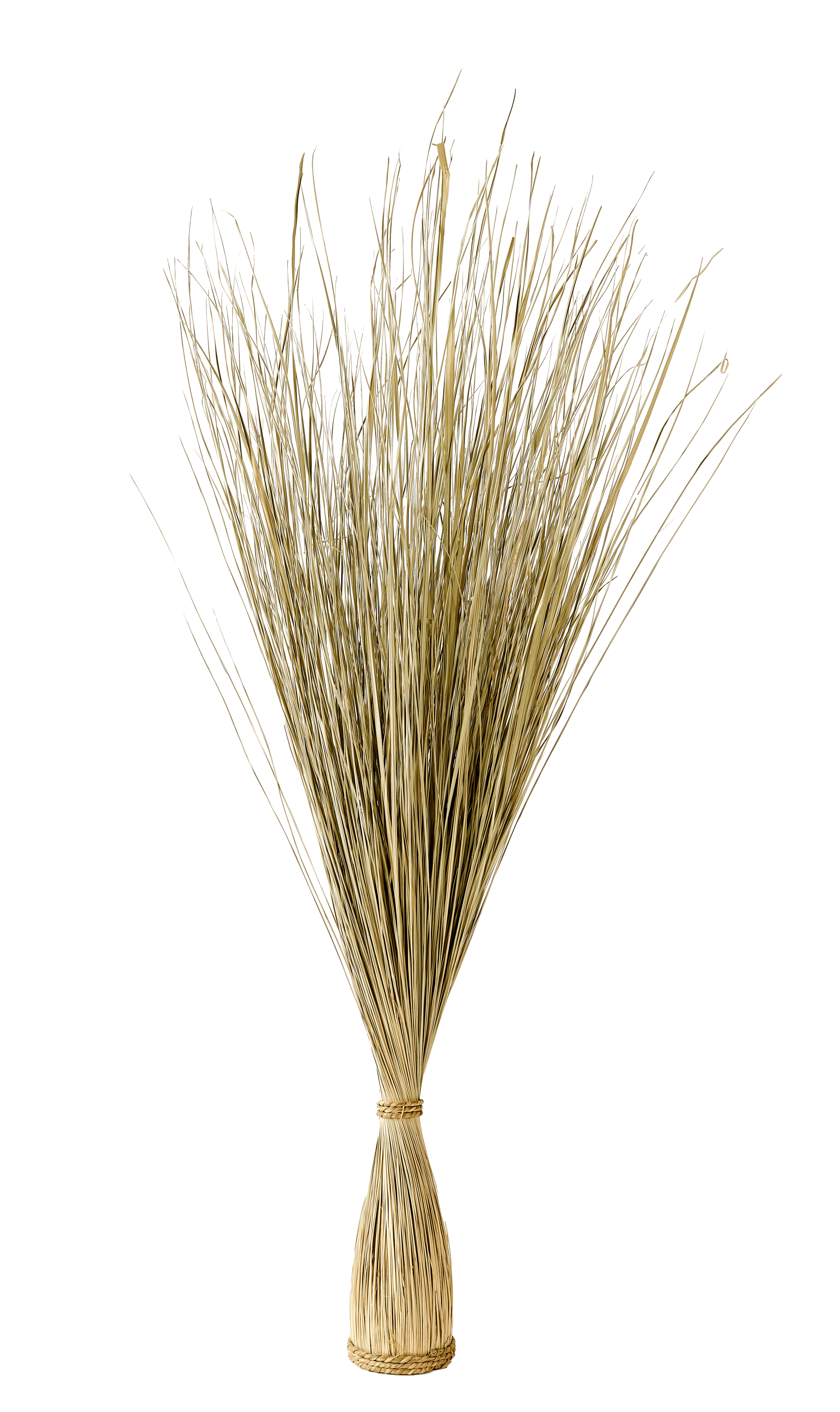 COGON Grasbundel naturelH 106 cm - Ø 10 cm
