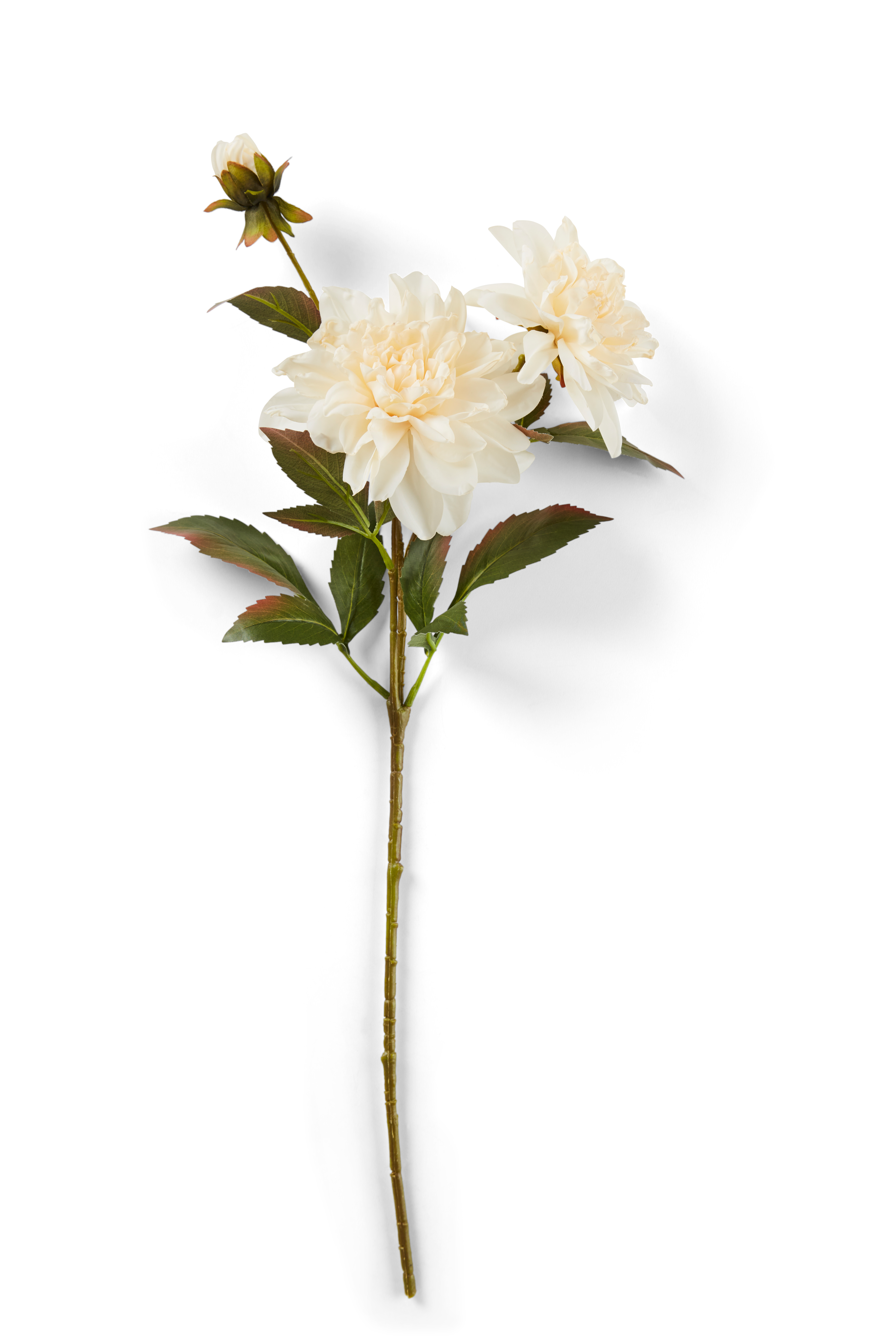 DAHLIA Bloementak crèmeL 70 cm