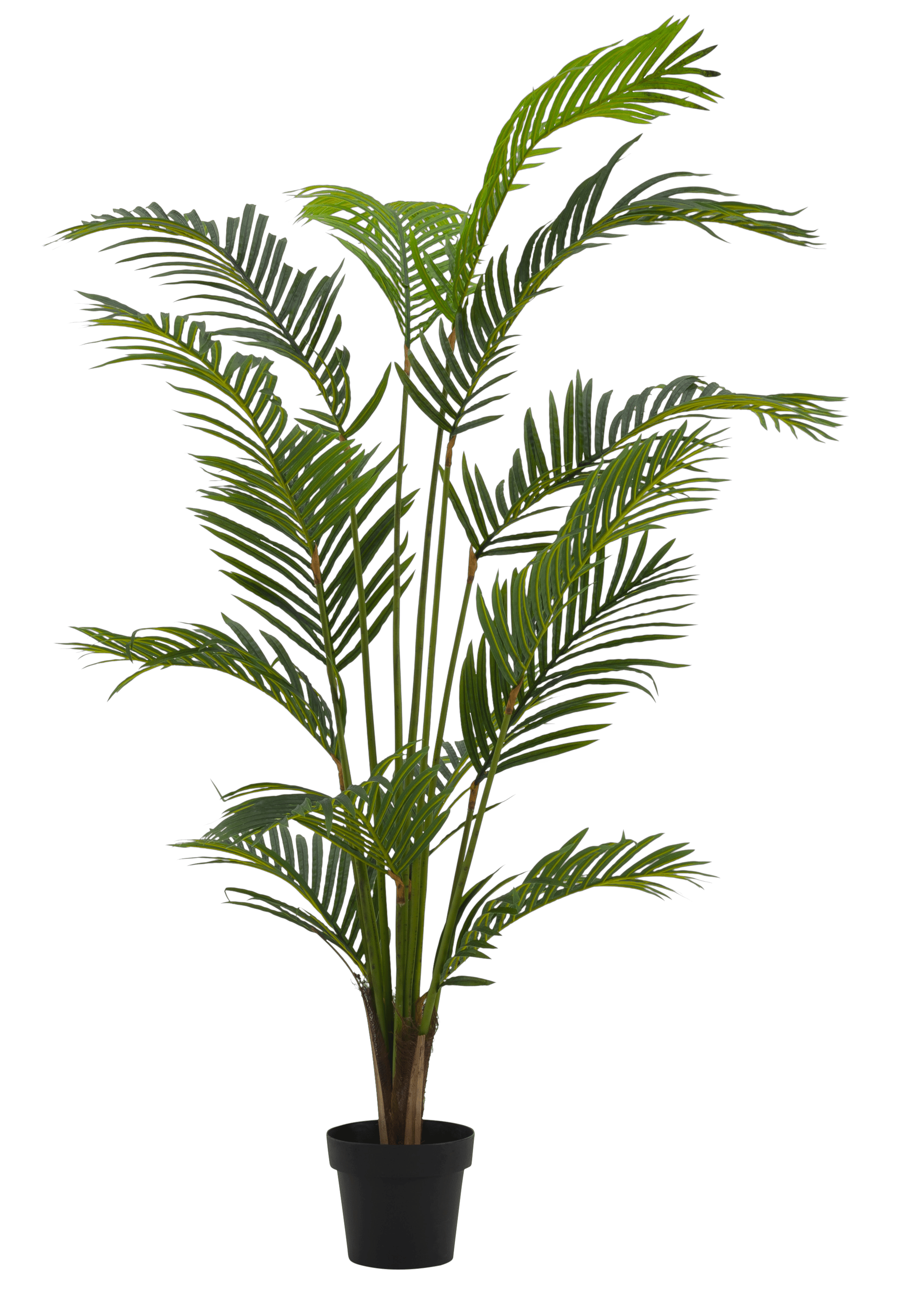 KWAI Palmboom groenH 180 cm - Ø 14,5 cm