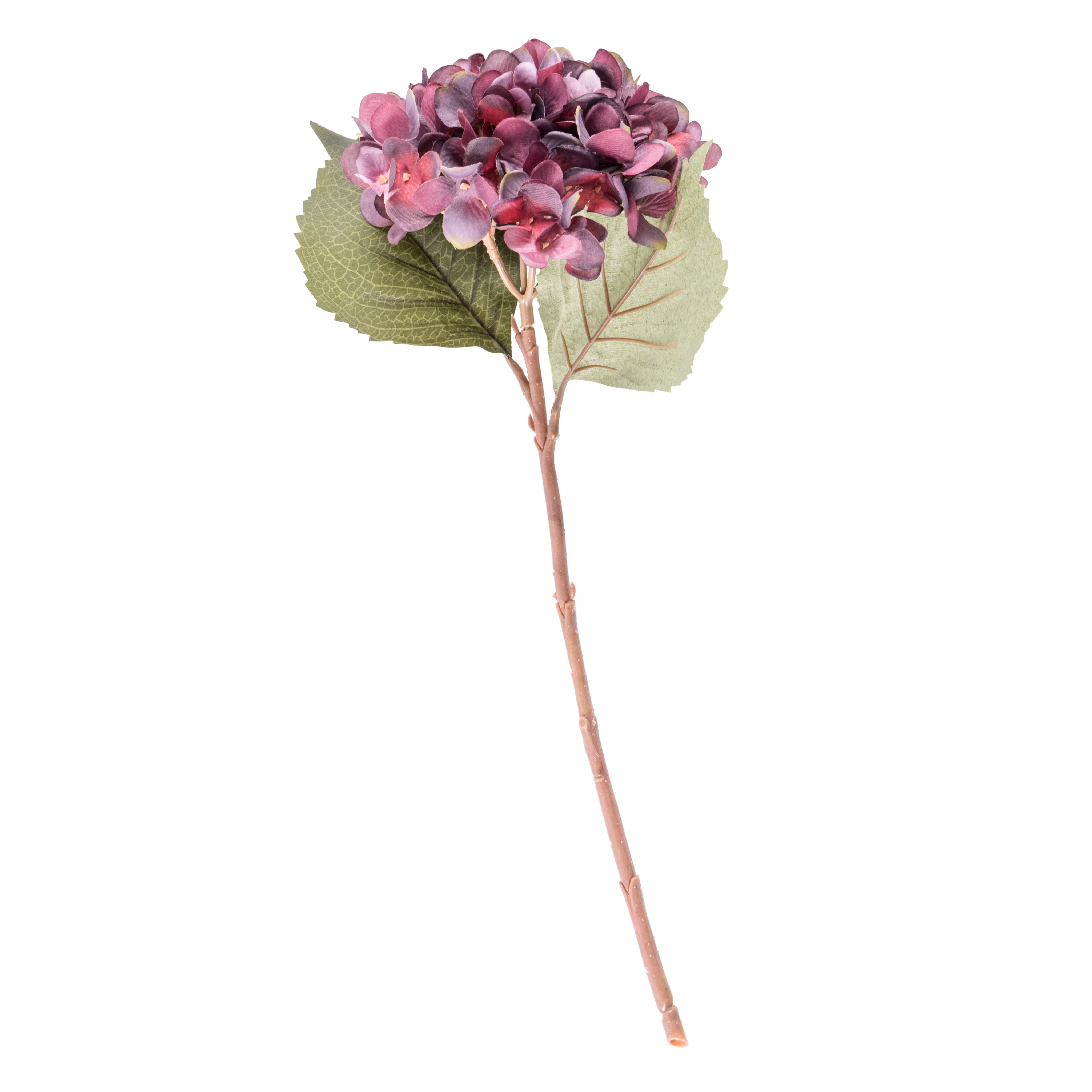 HYDRANGEA Hortensia bordeauxL 46 cm