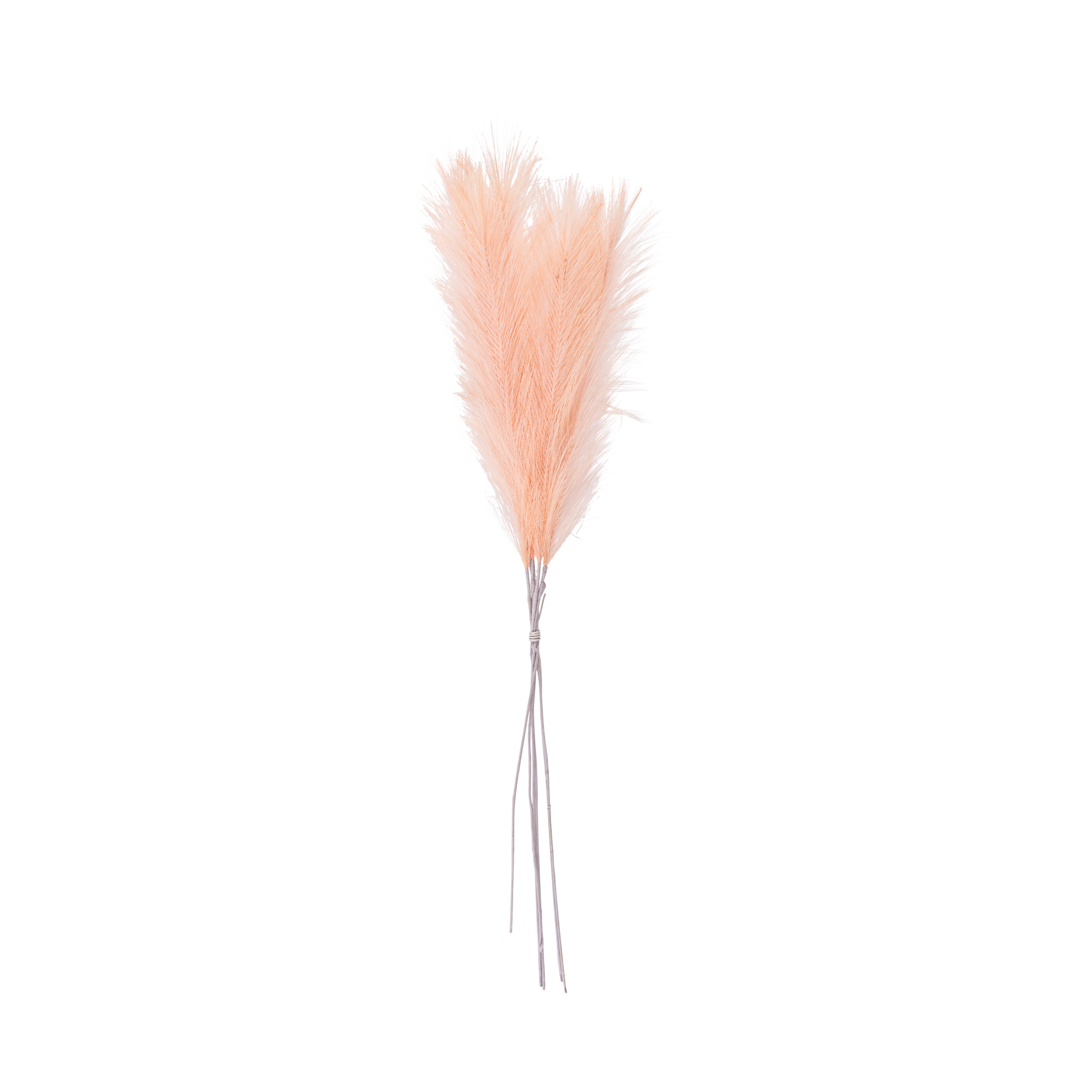 PLUME Decoratieve pluimen lichtbruinL 72 cm