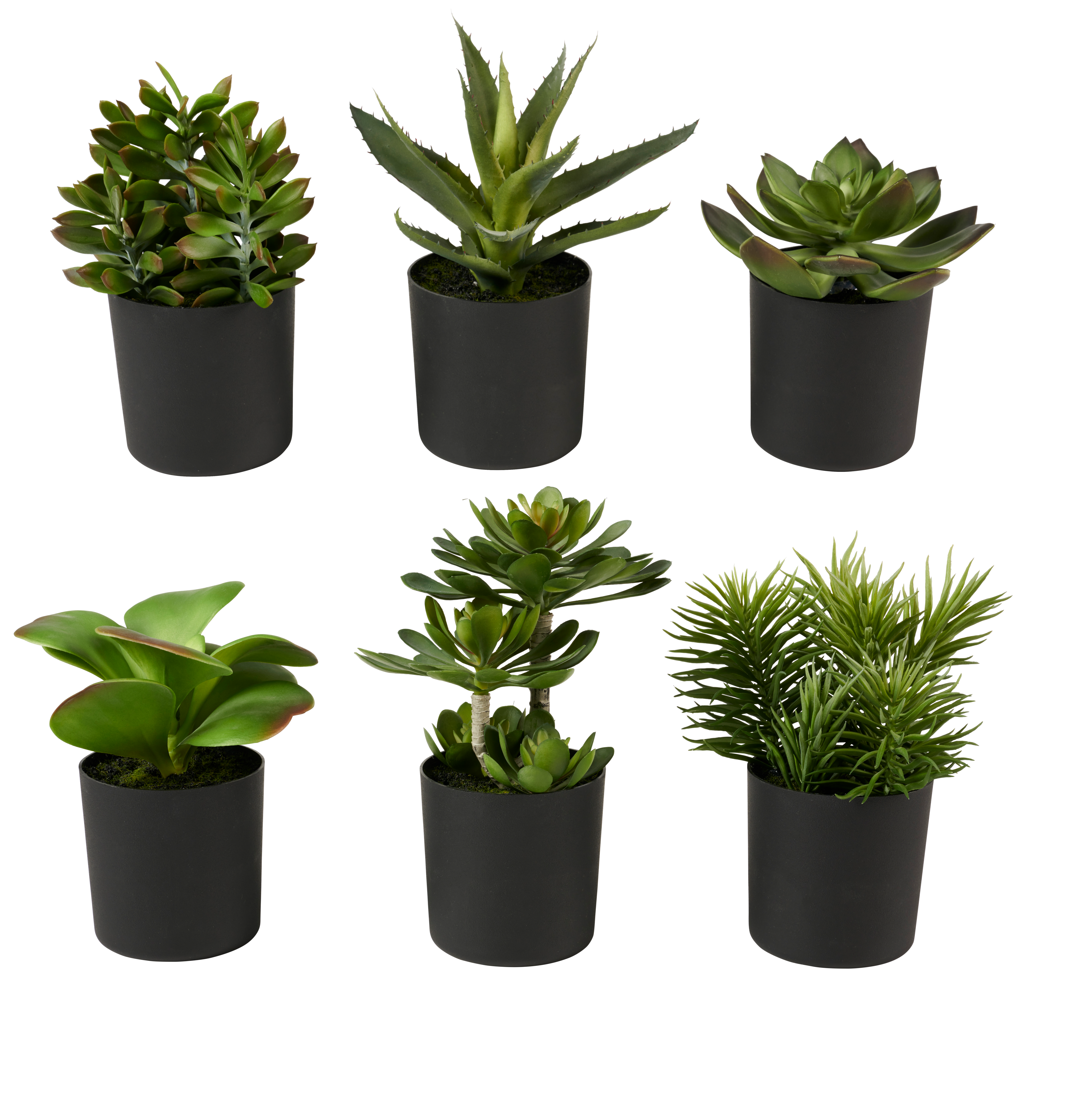 MOHAVE diverse kleurenH 25 cm - Ø 11 cm