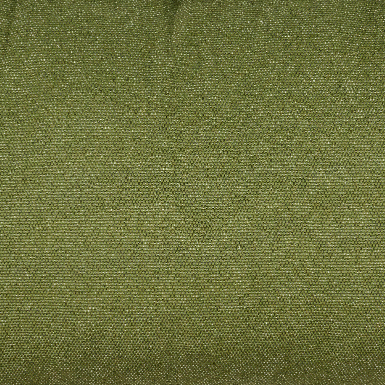 PAULETTA LUXE Rugkussen groenB 40 x L 120 x D 12 cm