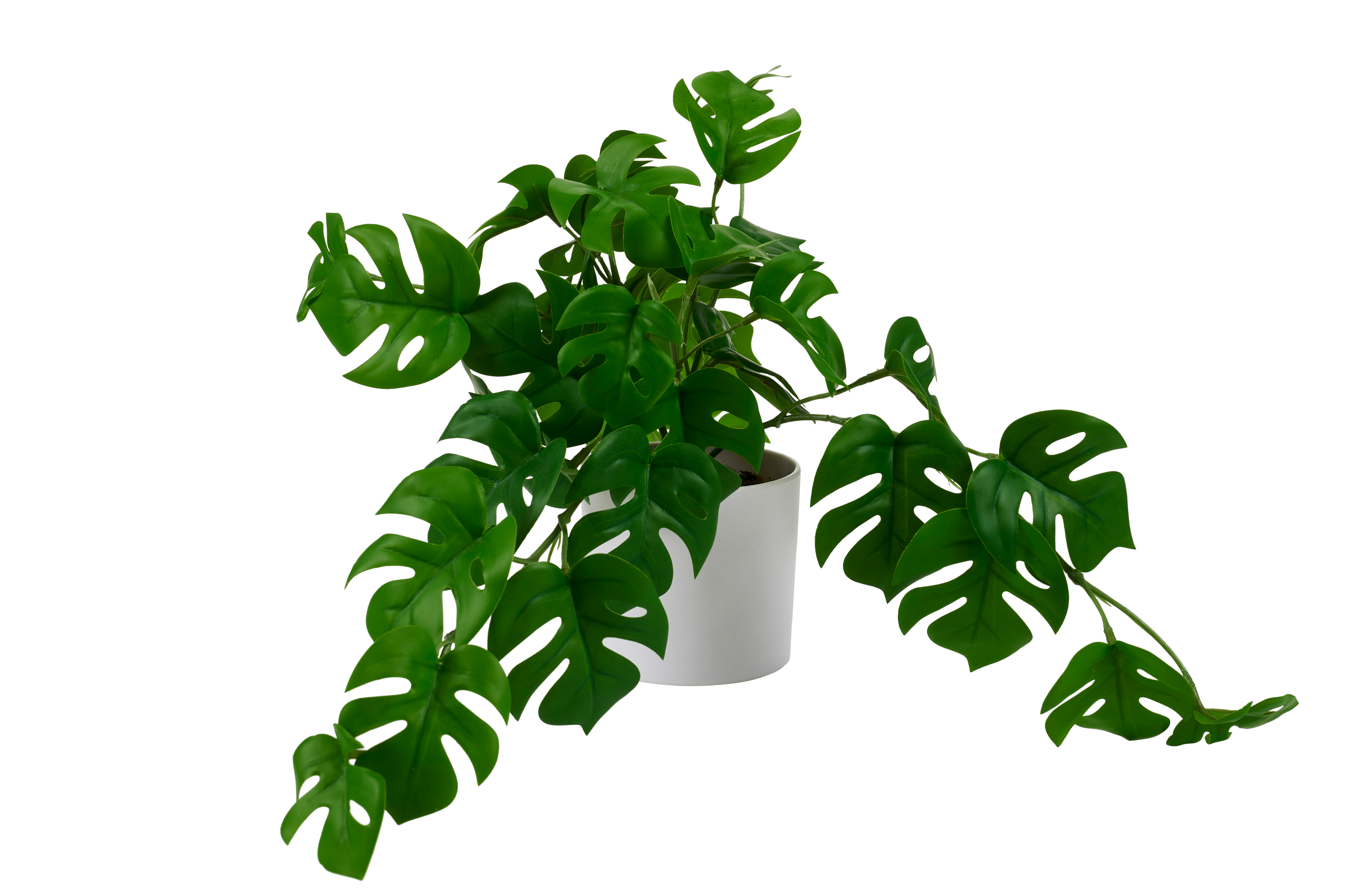 MONSTERA Plant diverse kleuren, wit, groenH 30,5 x B 40,5 cm - Ø 28 cm
