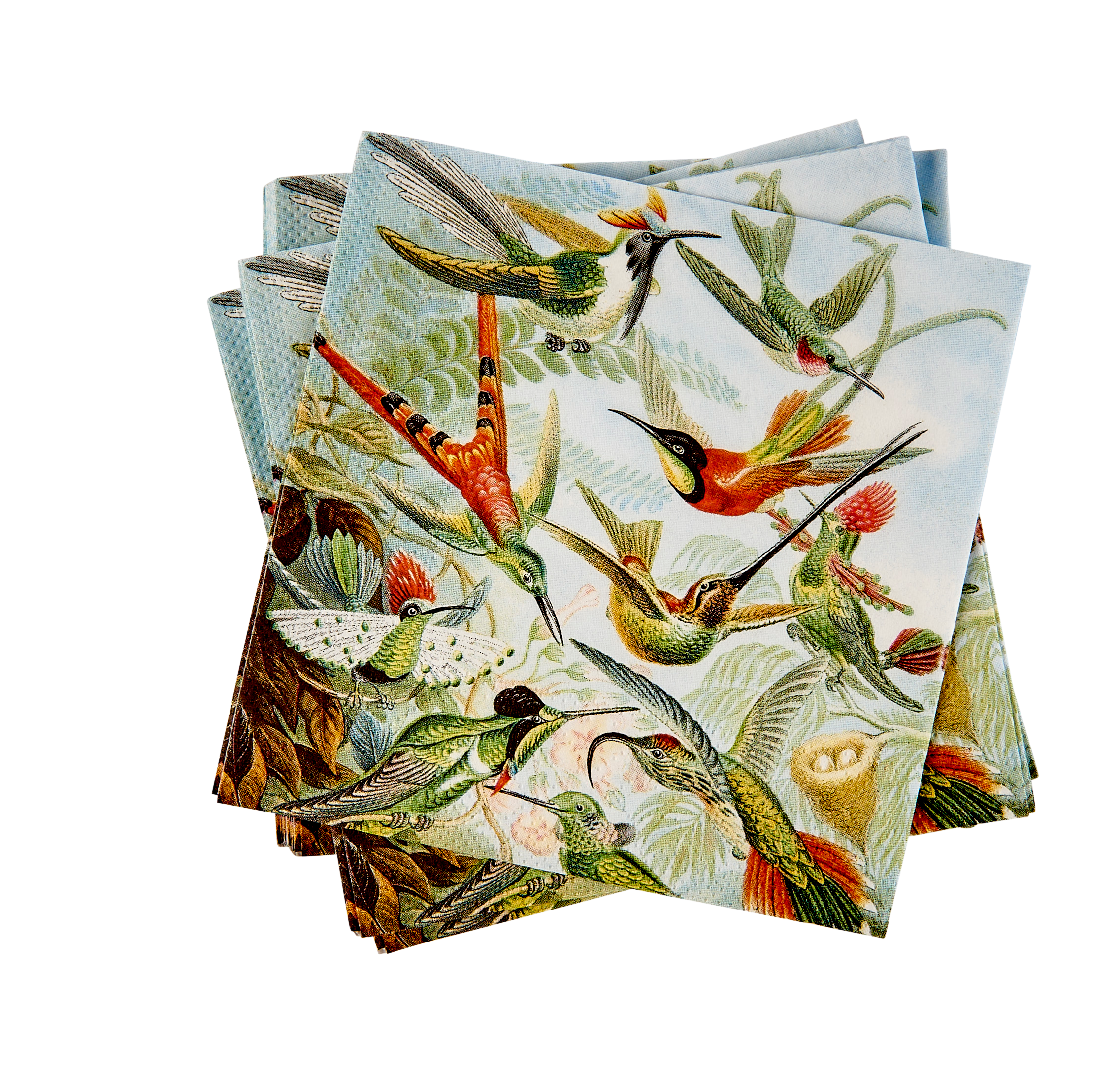 COLIBRI Set van 20 servetten multicolorB 24 x L 24 cm