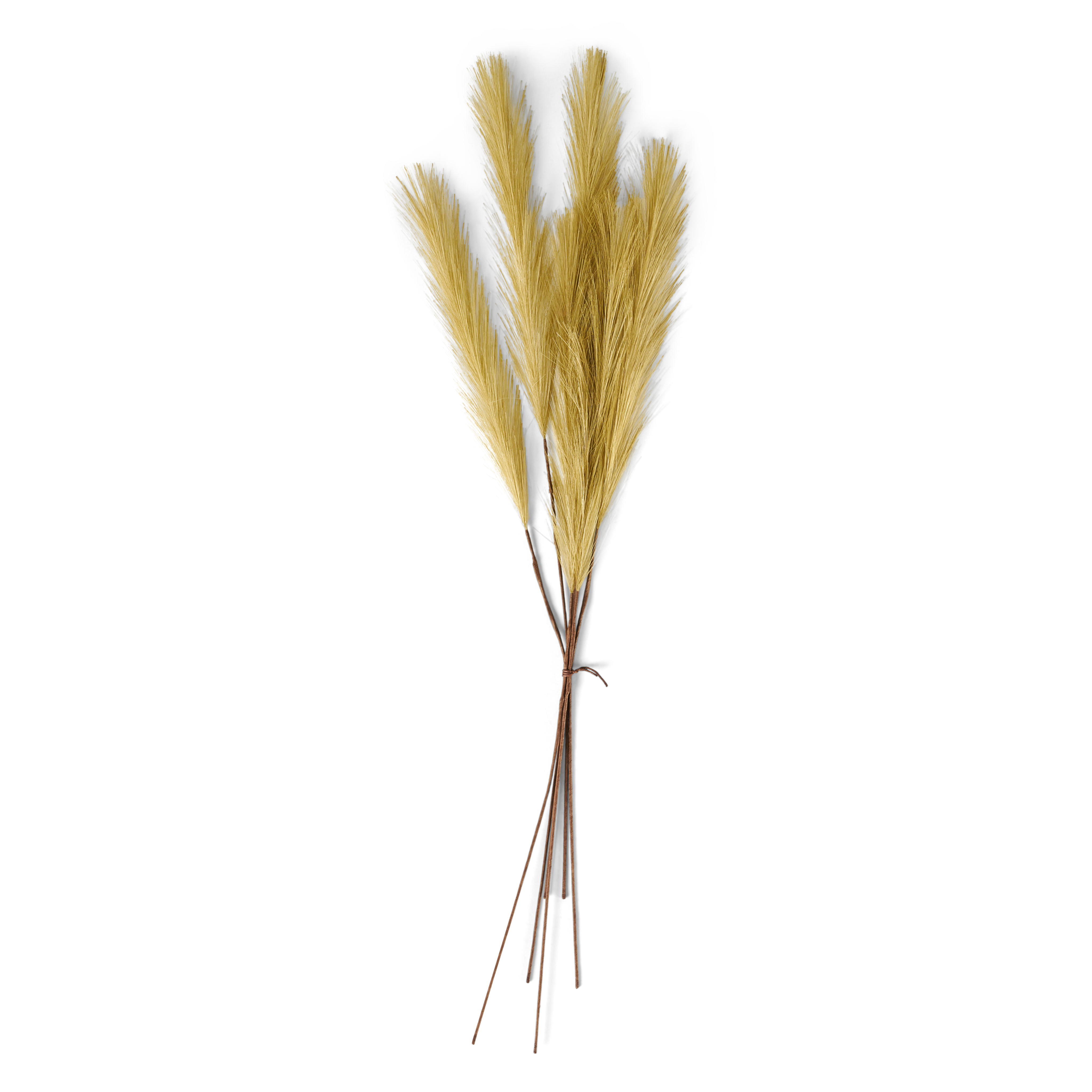 PLUME Decoratieve pluimen groenL 72 cm