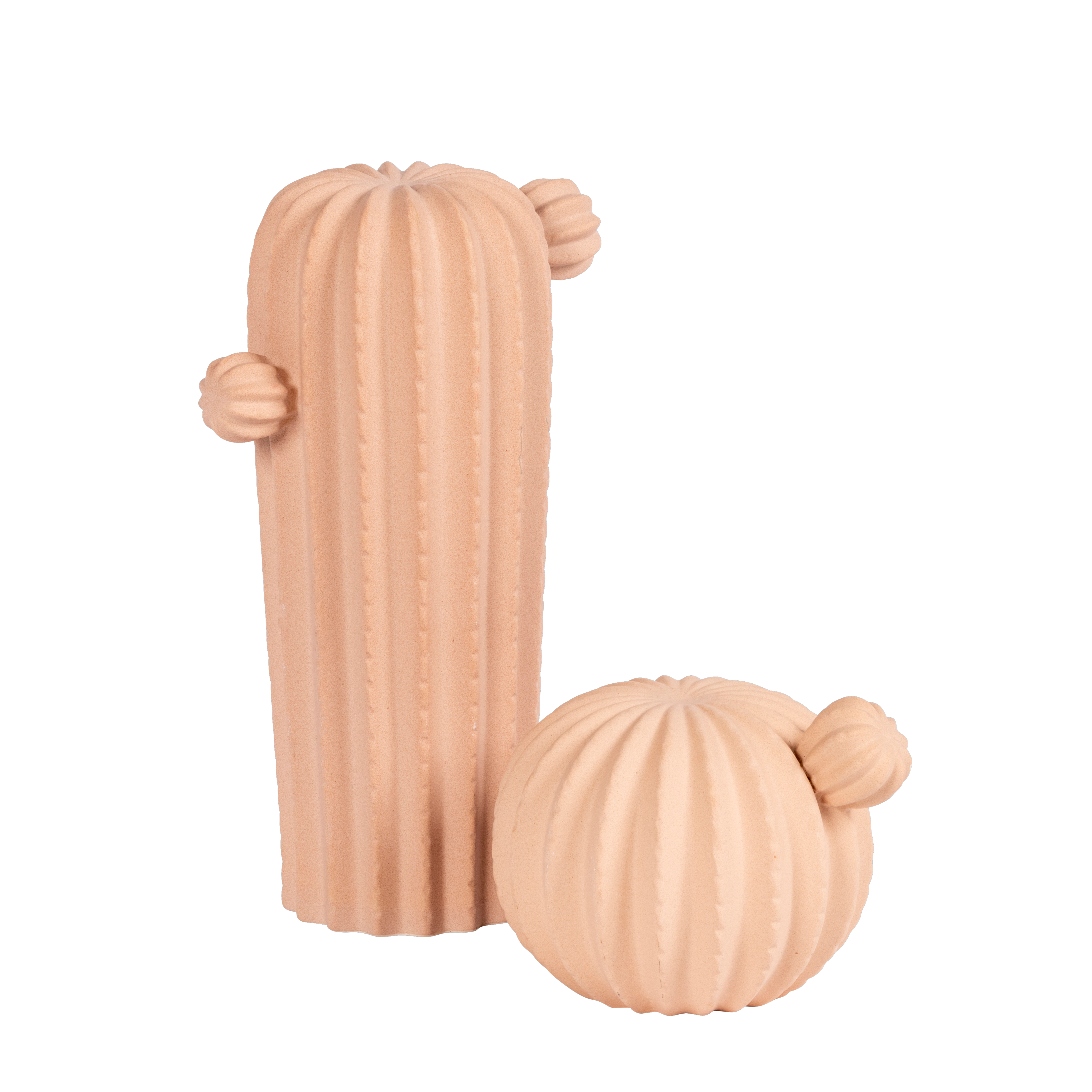 PRICKLY Cactus oud rozeH 16,5 x B 15 cm - Ø 12,5 cm