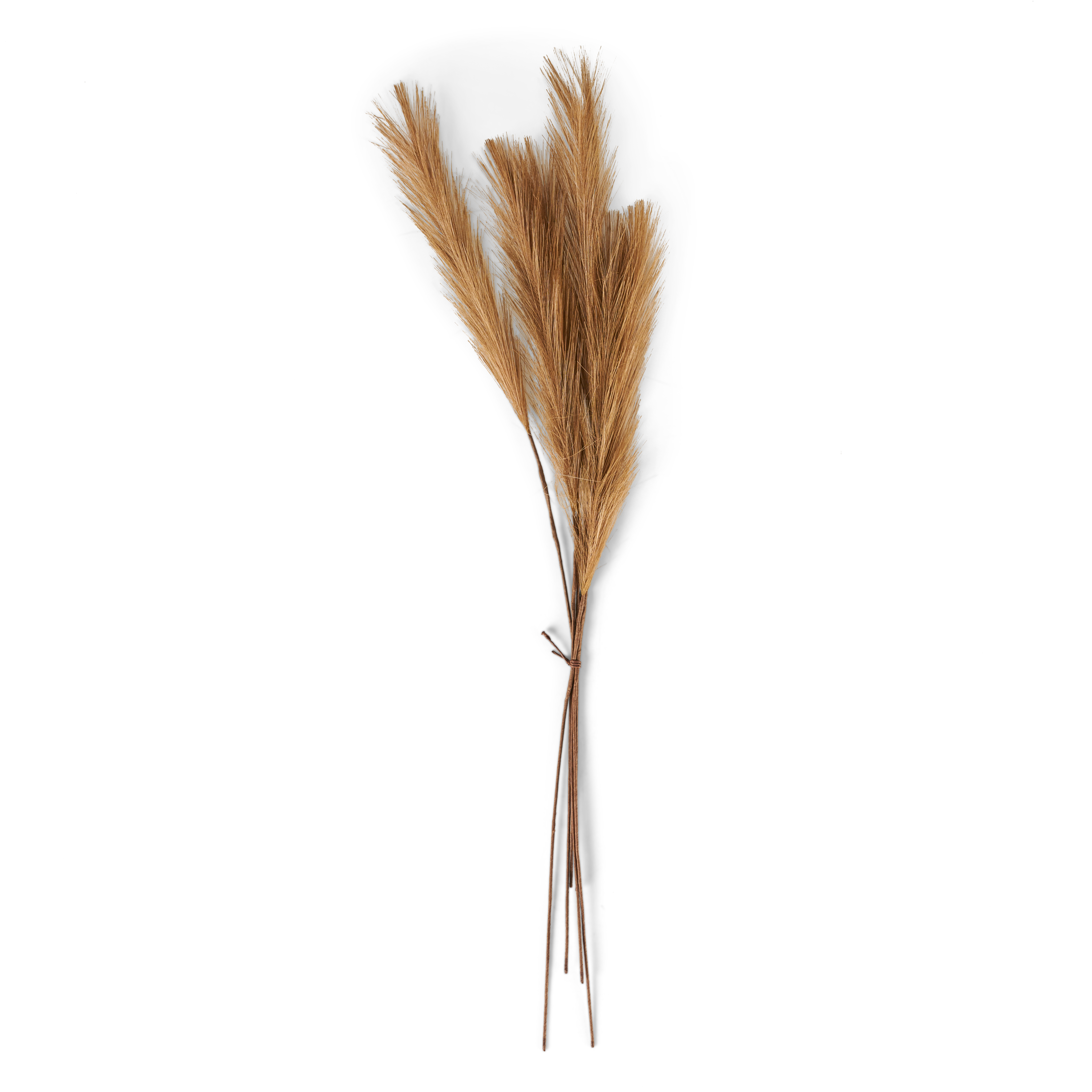 PLUME Decoratieve pluimen bruinL 73 cm