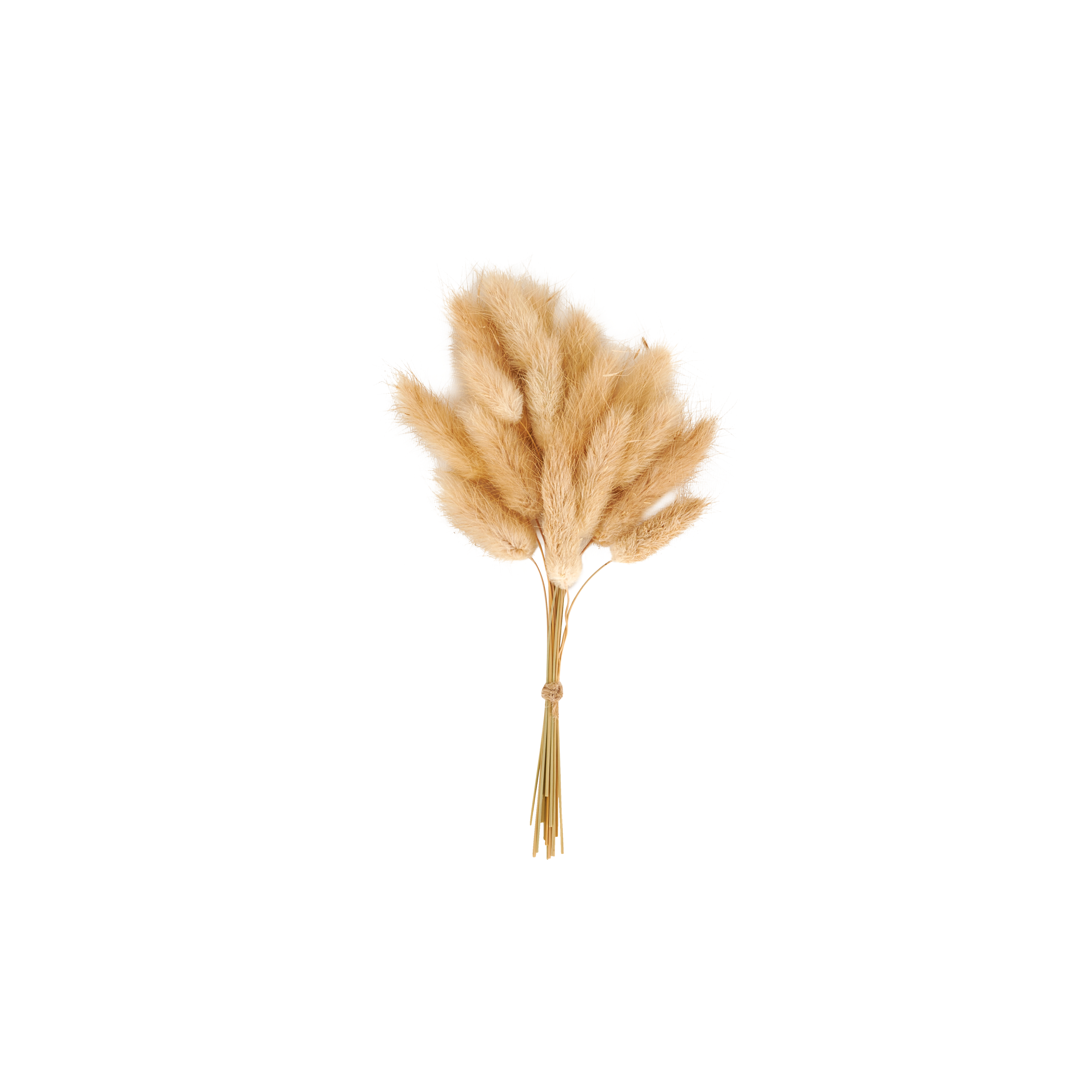 MINA Droogdeco bruinH 19,5 x B 9 cm
