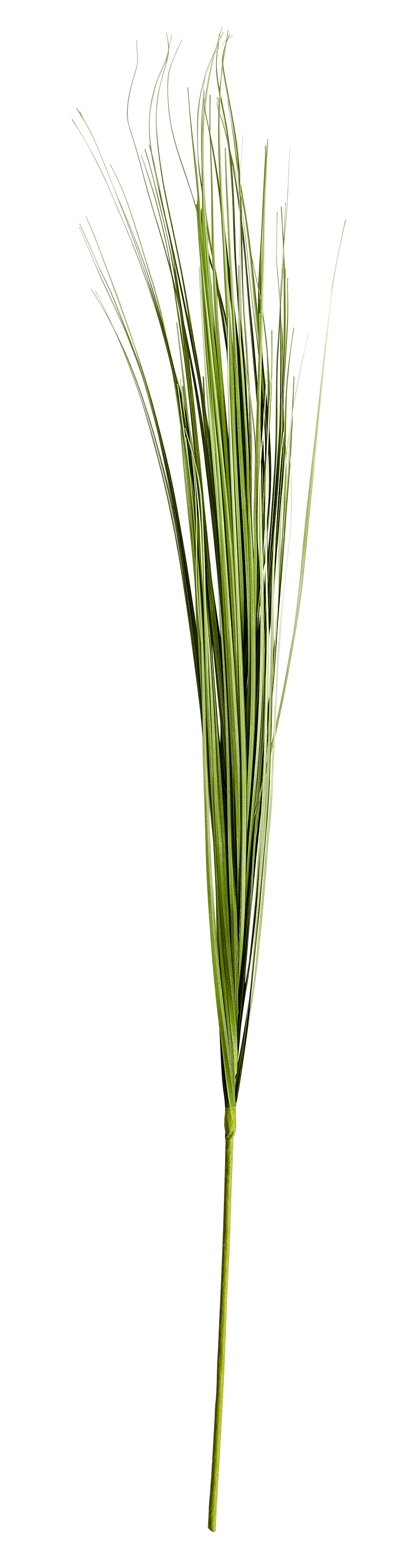 GRASS Grasbundel groenL 95 cm