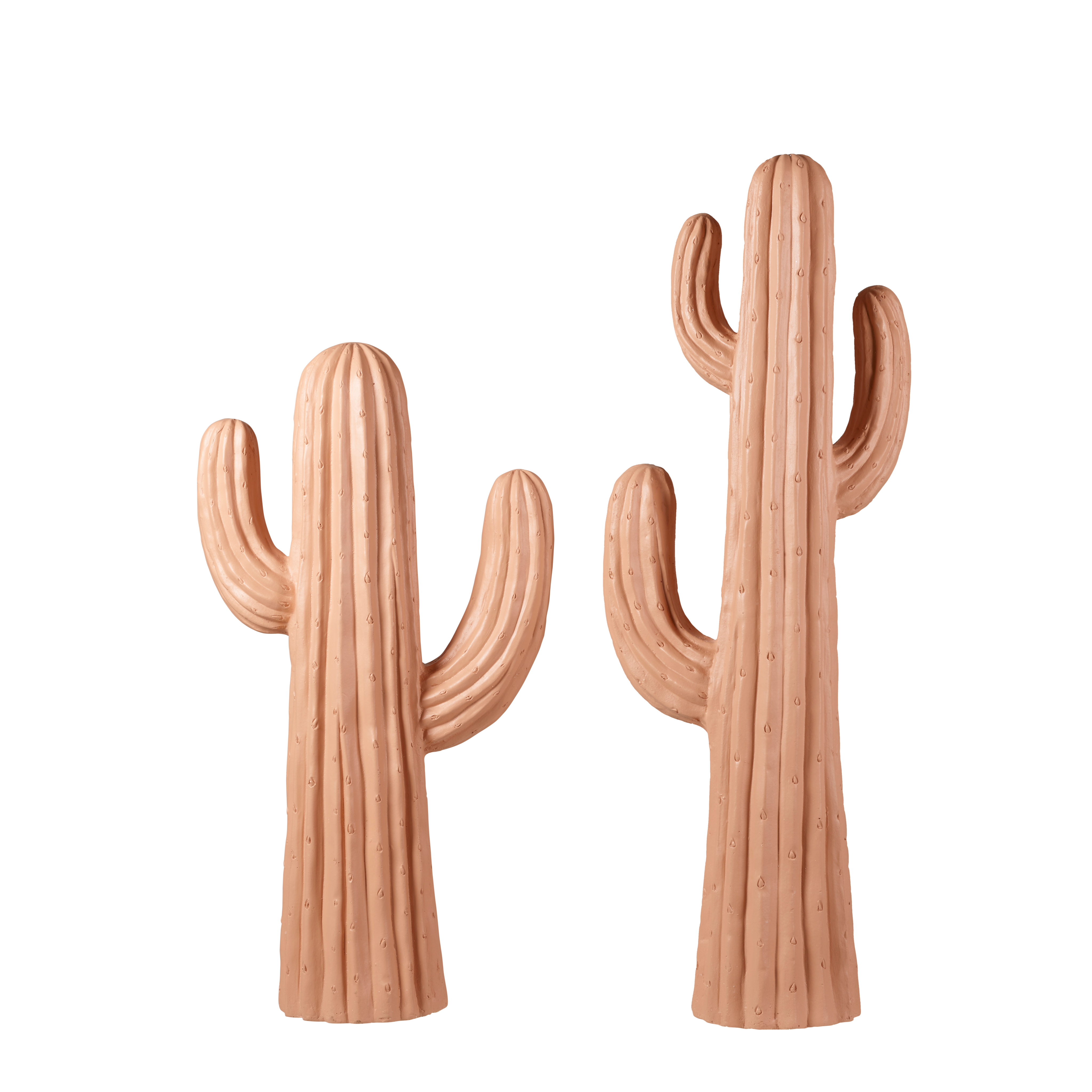MAGNESIA Cactus terracottaH 77 x B 42 x D 20 cm
