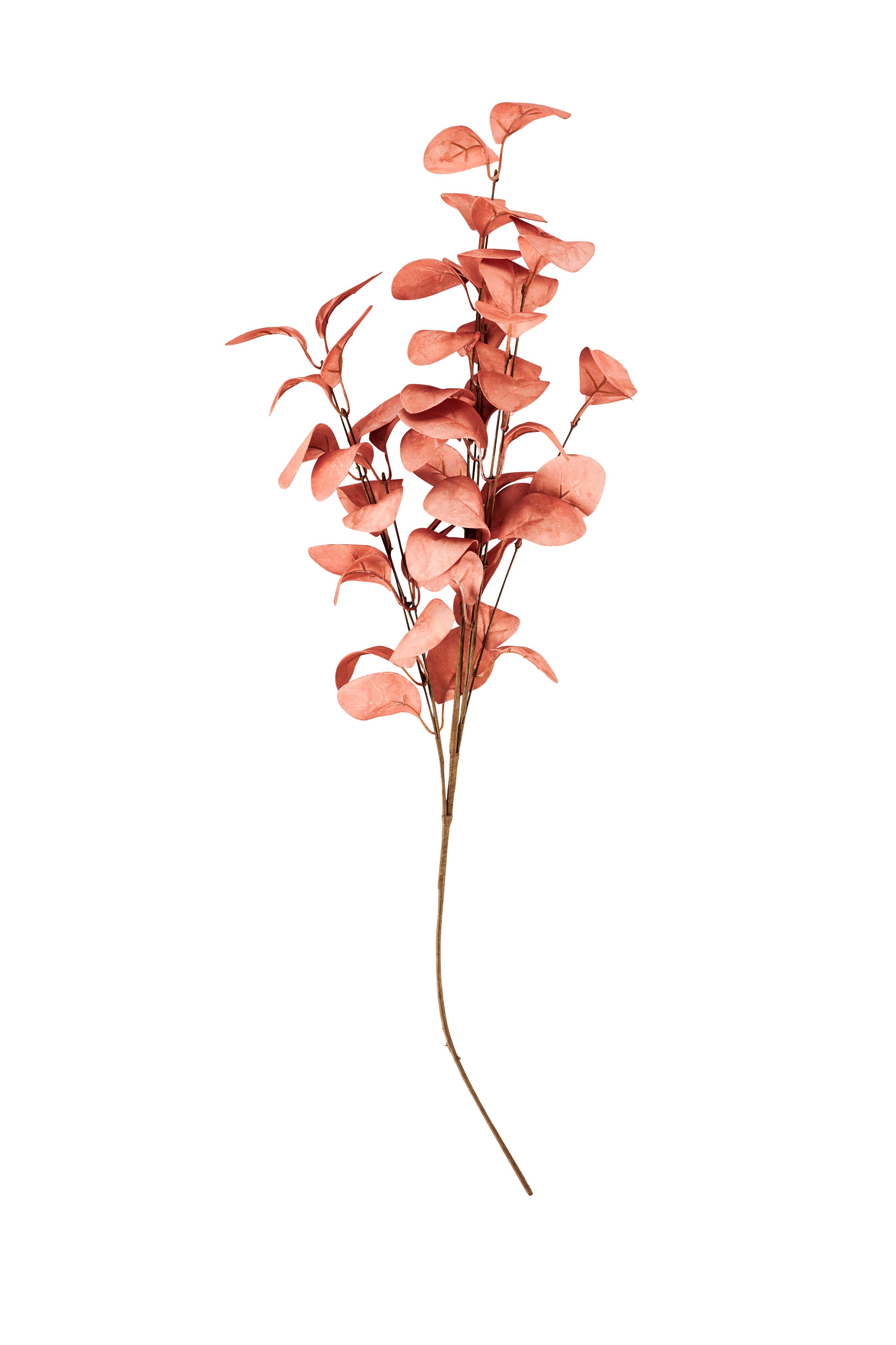 EVA Eucalyptus rozeL 80 cm