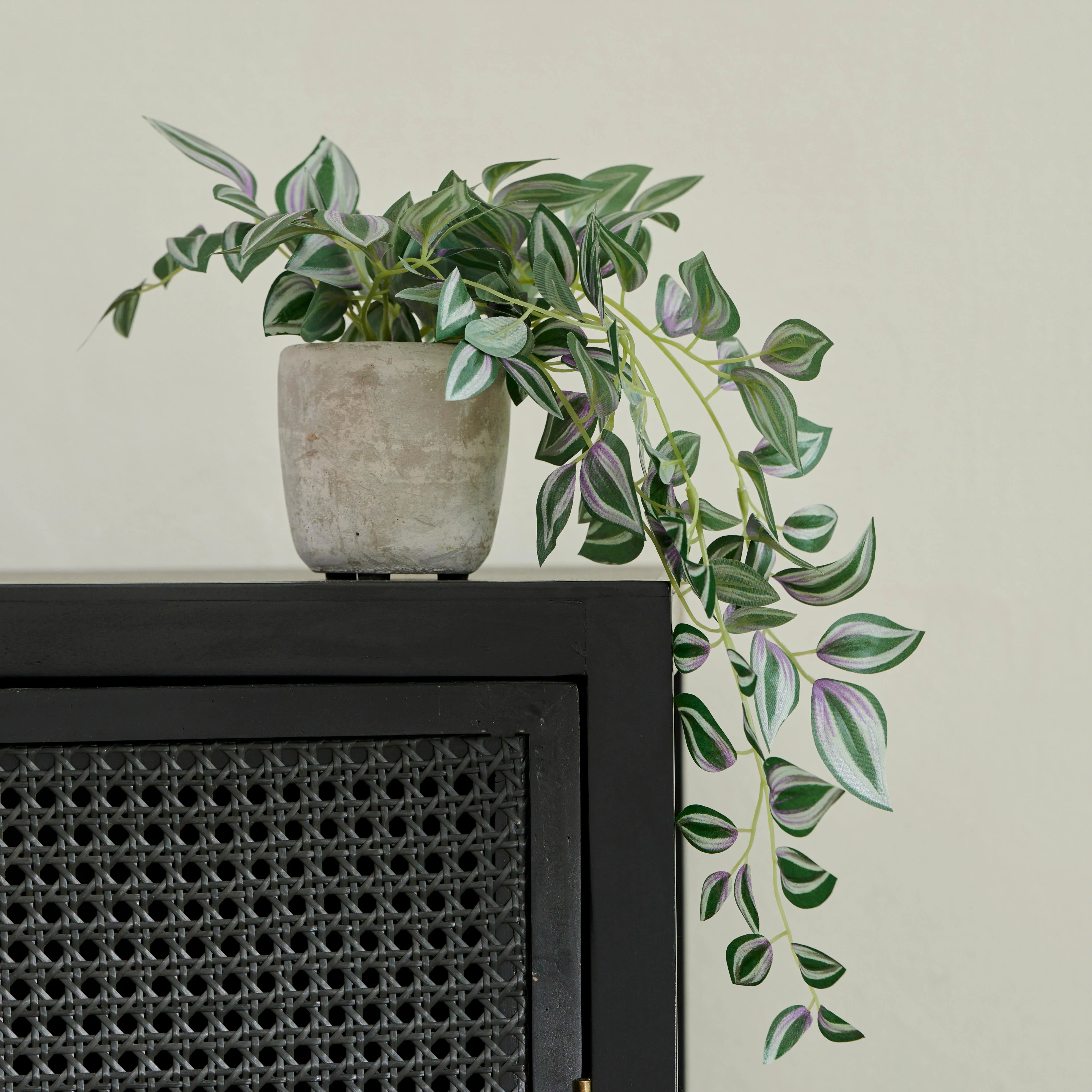 CALATHEA Hangplant grijs, groen, paarsH 22 x B 22 x L 45 cm