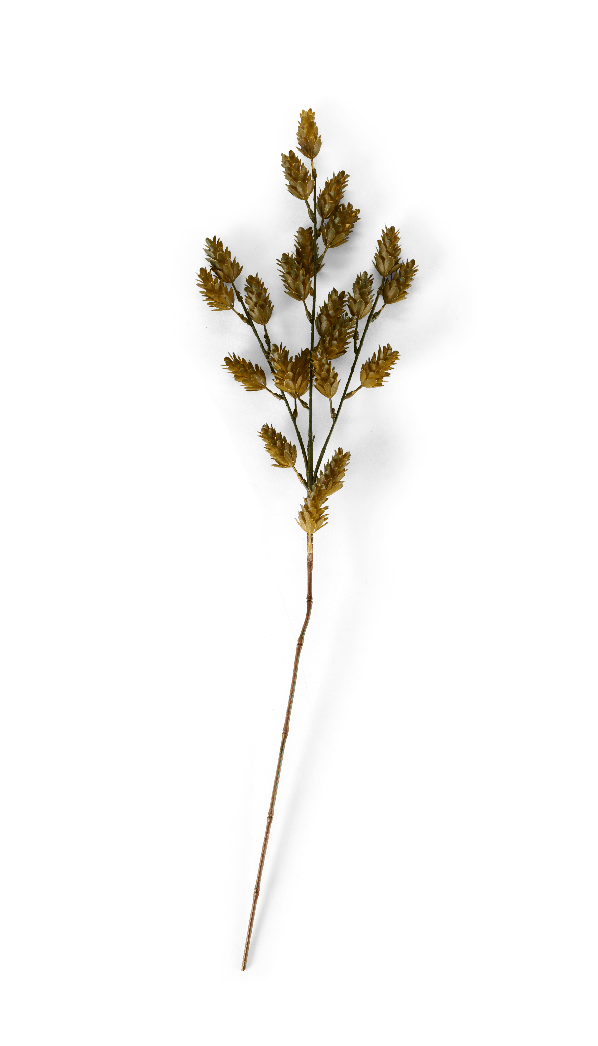 CIPRA Stengel groenL 74 cm