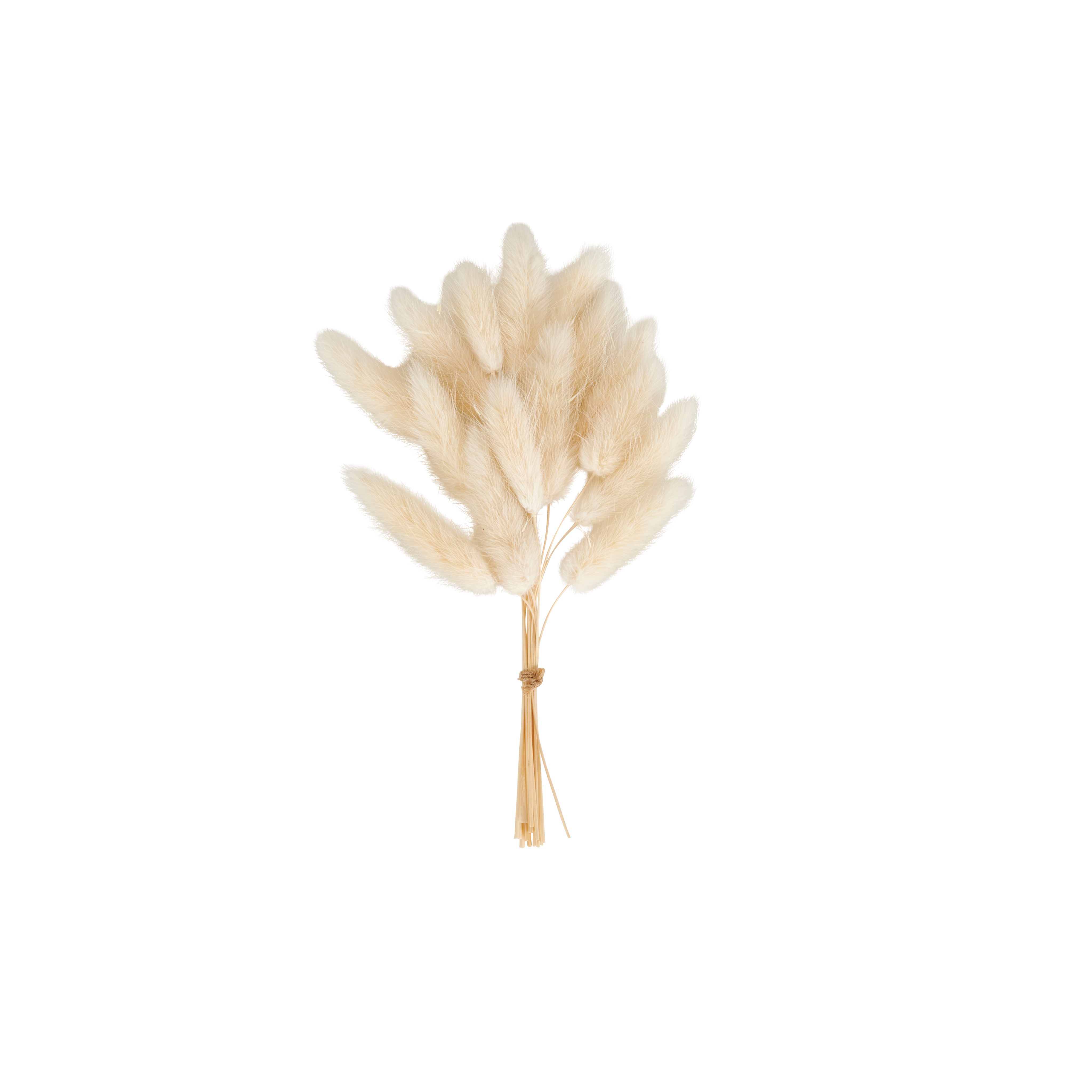 MINA Droogdeco witH 19,5 x B 9 cm