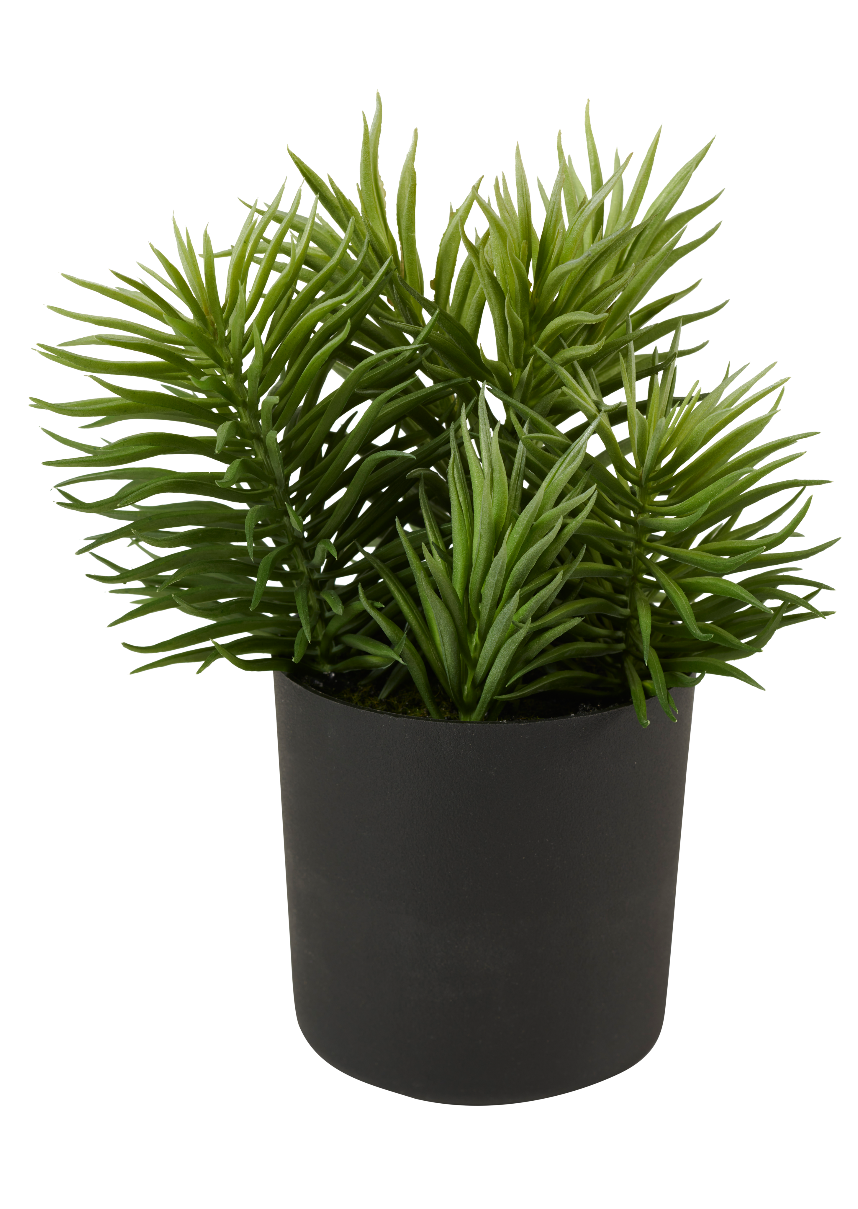 MOHAVE diverse kleurenH 25 cm - Ø 11 cm