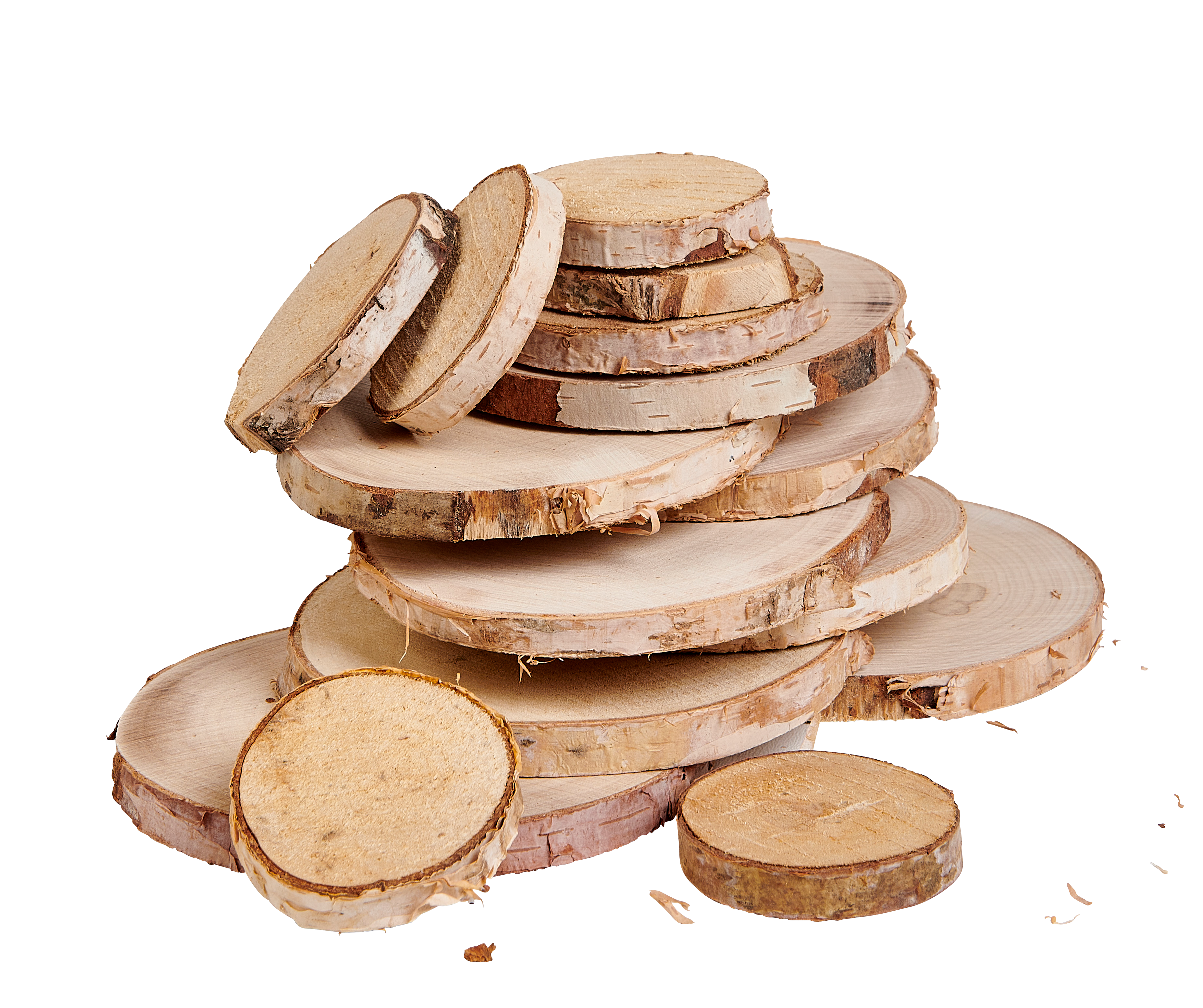 BIRCH Deco berkenhout 15 stuks naturelØ 4 cm - Ø 7 cm