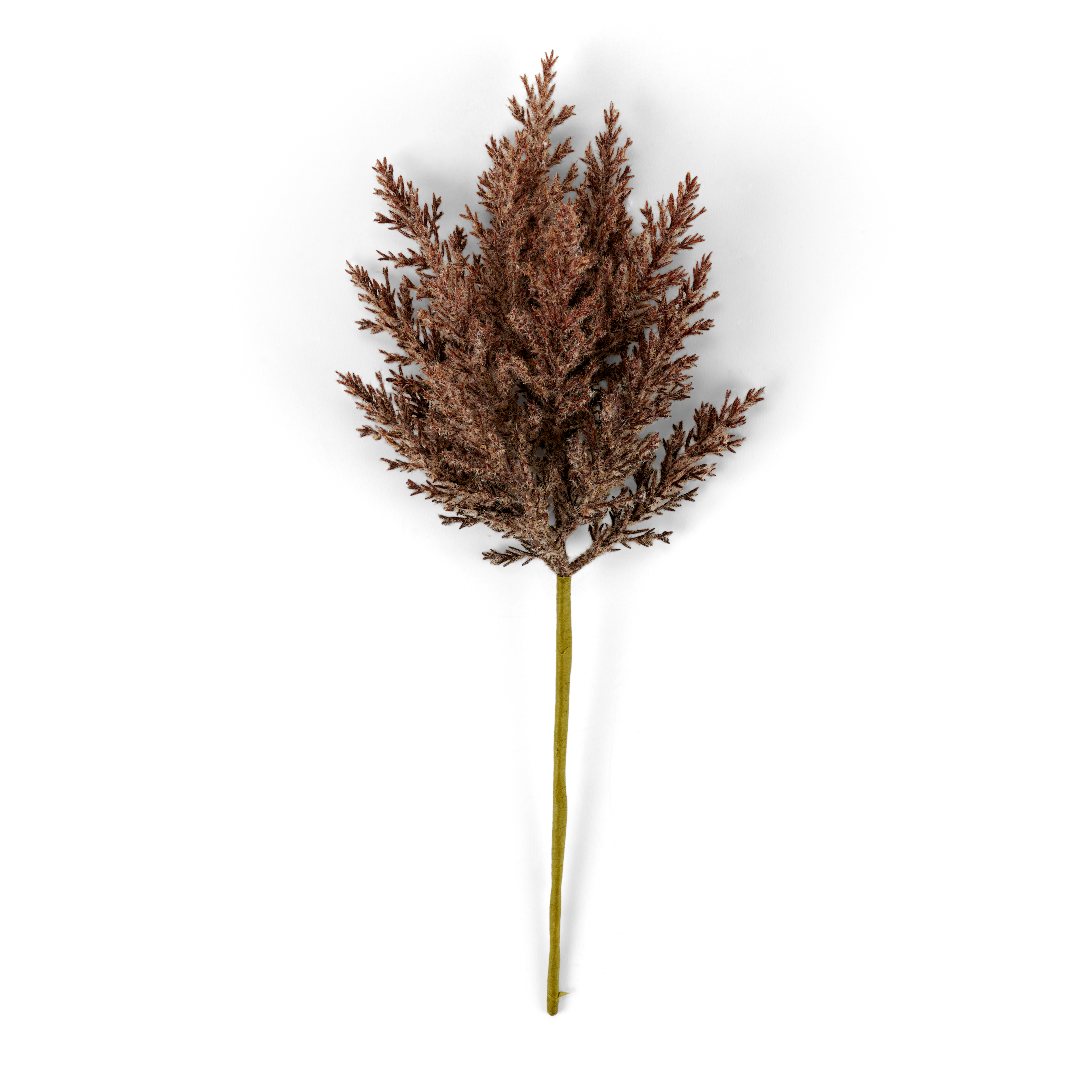 PLUME Pluimen stengel bruinL 39 cm