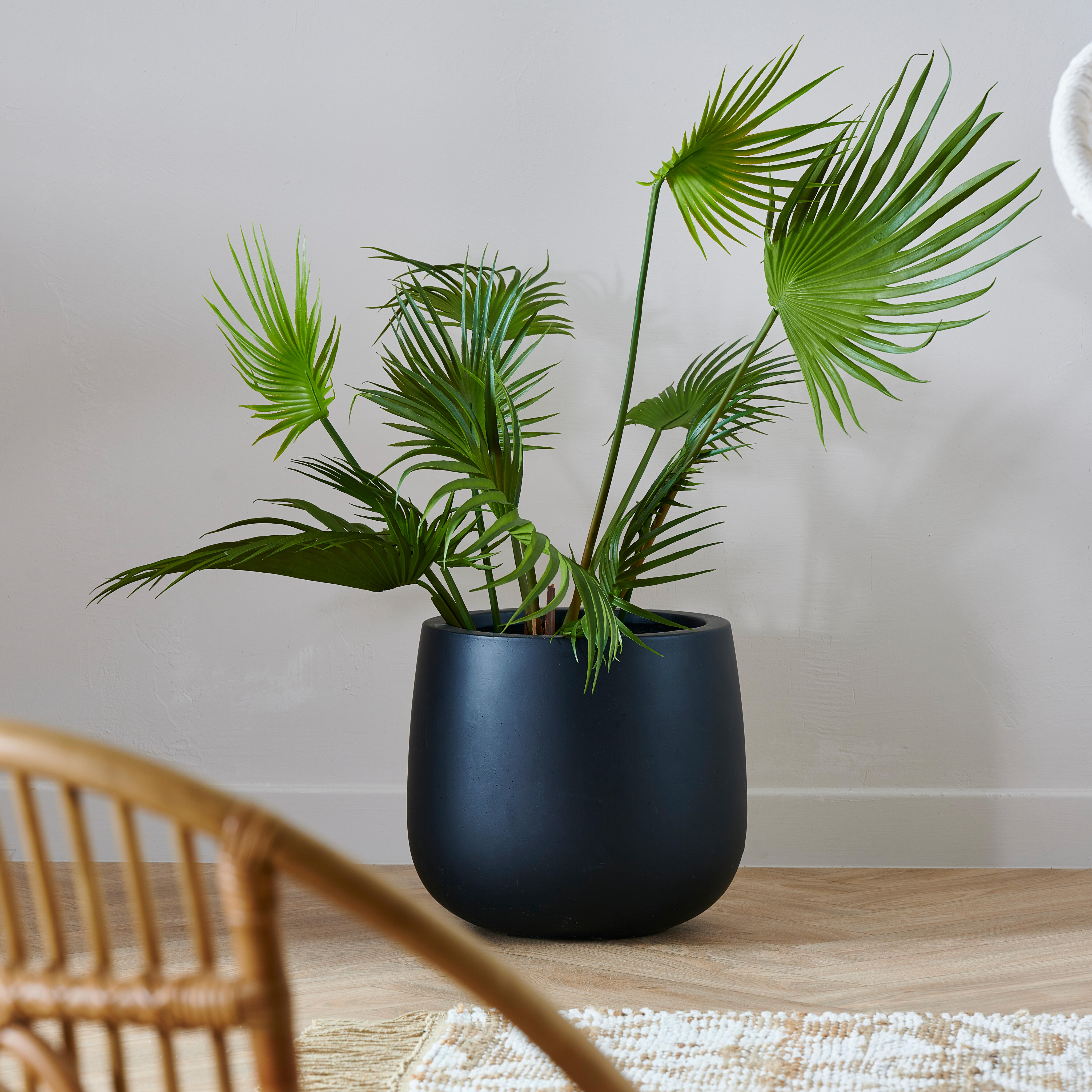 ARECA PALMBOOM groenH 79 cm - Ø 46 cm