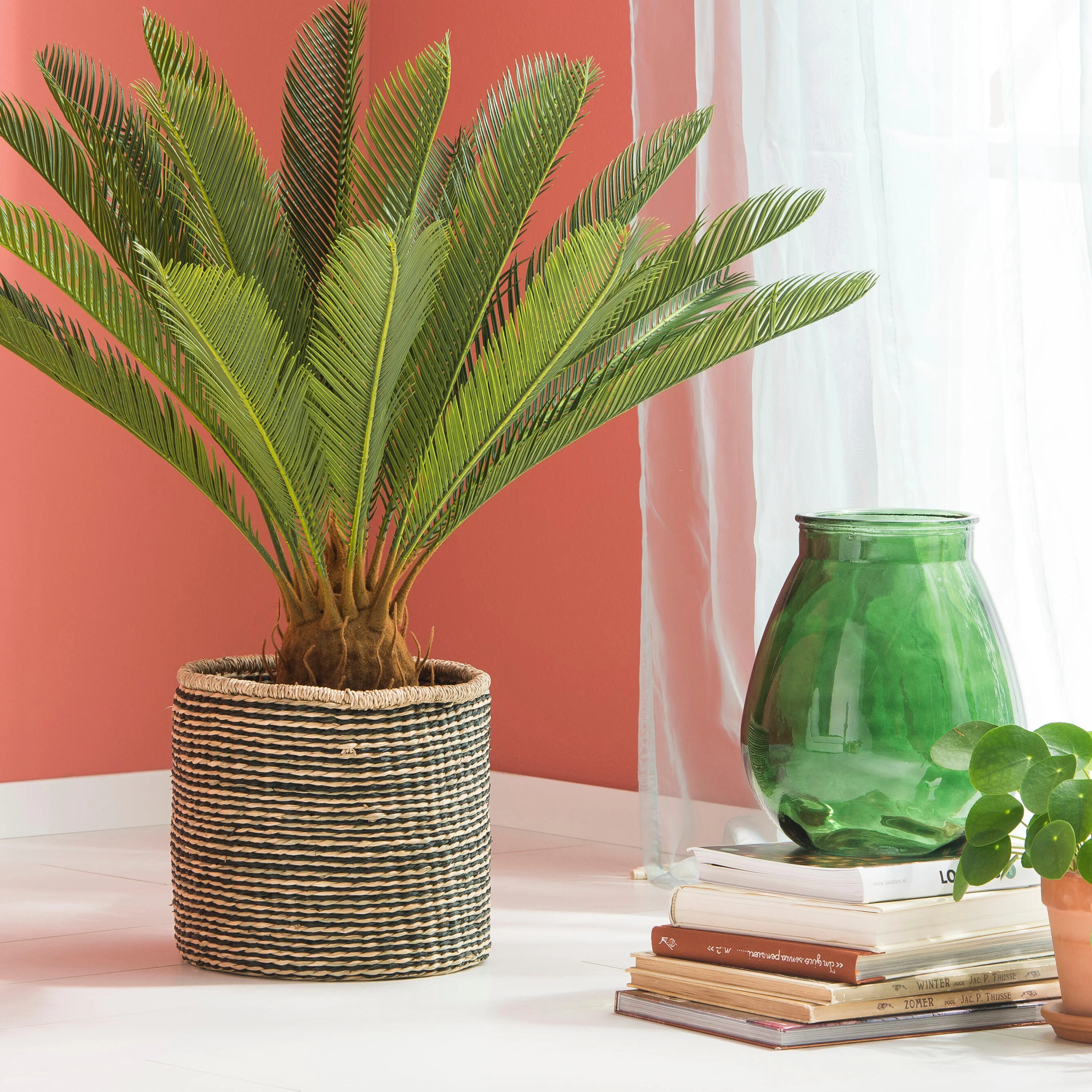 CYCAS Palmboom groenH 80 cm - Ø 78 cm