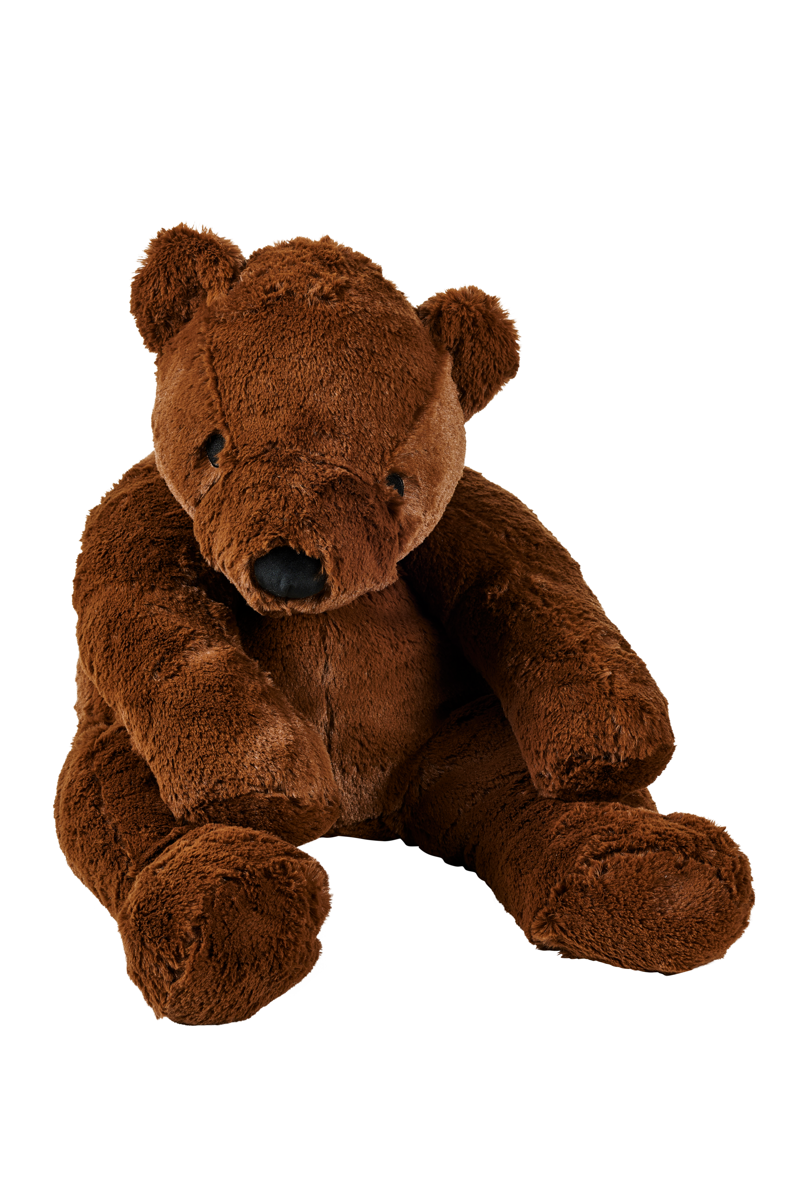 POLA Beer bruinH 50 cm