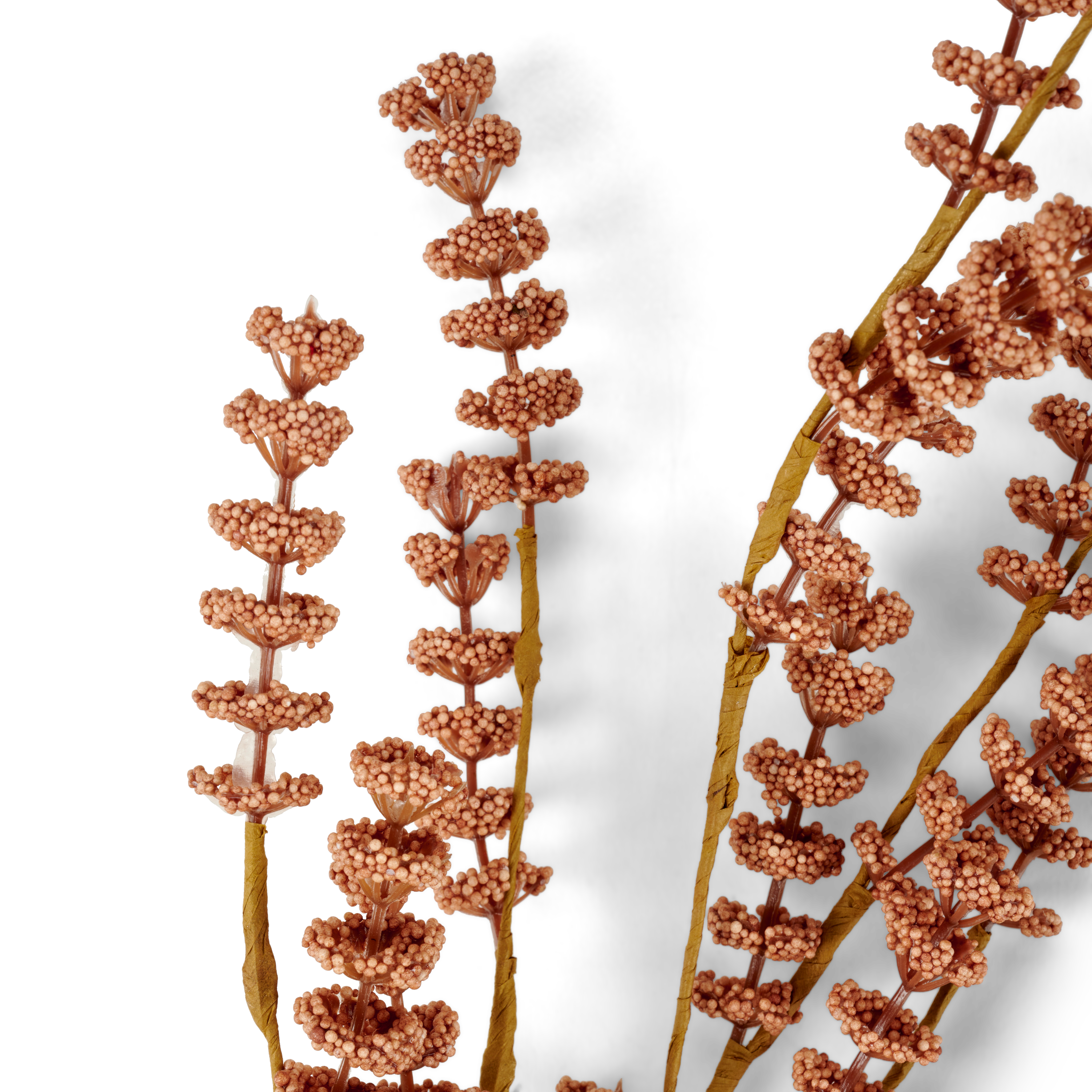 MOTHERWORT Kruidentalk rozeL 68 cm