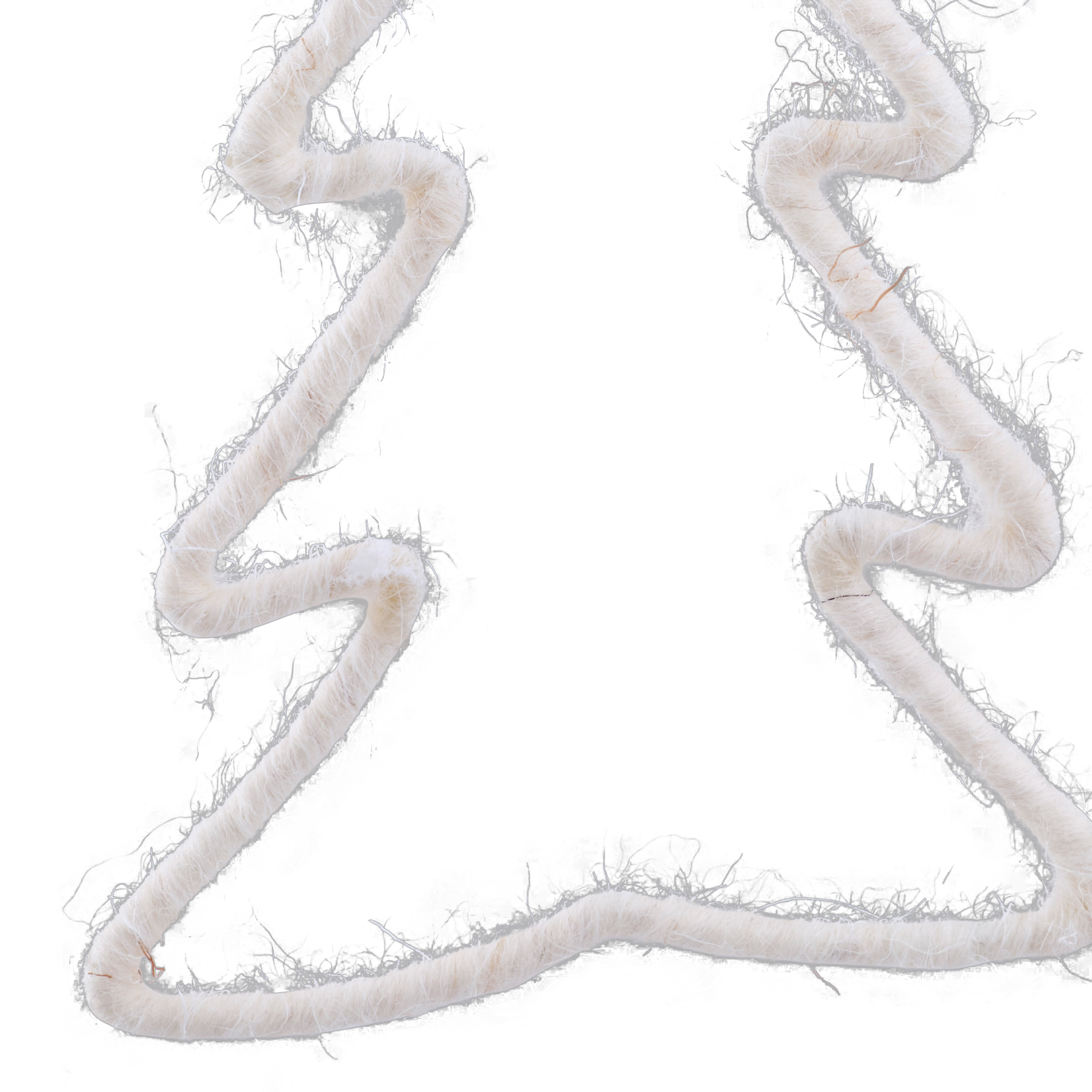 WOOLY Hangdeco witB 7,5 x L 10,5 x D 0,3 cm