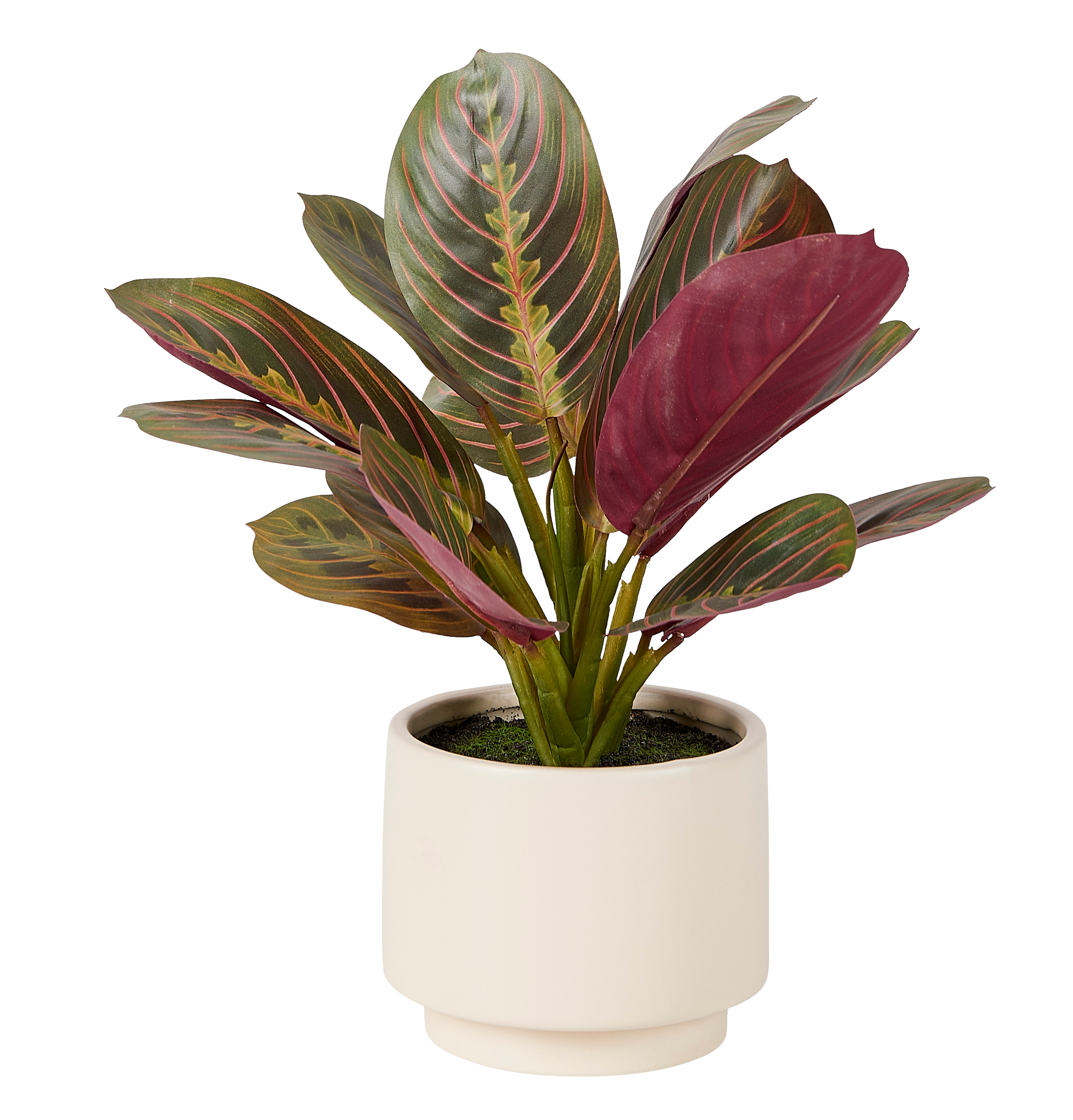 ZEBRINA KunstplantH 28 x B 10,5 cm