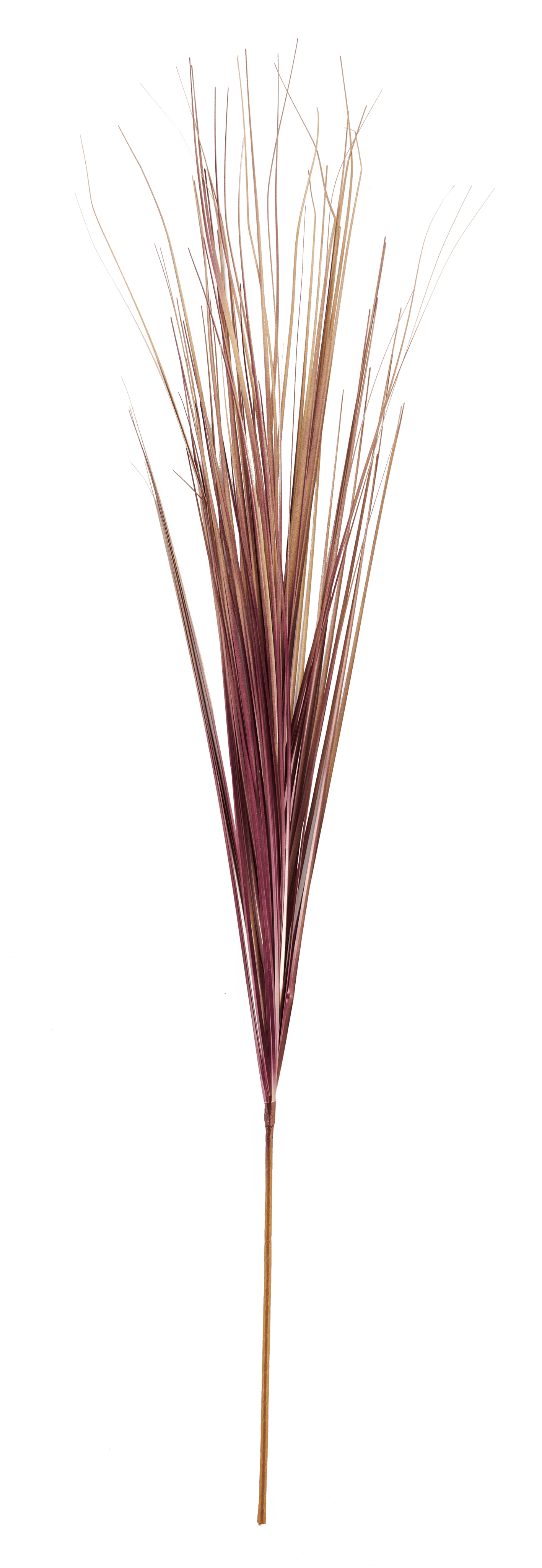 GRASS Grasbundel roodL 95 cm