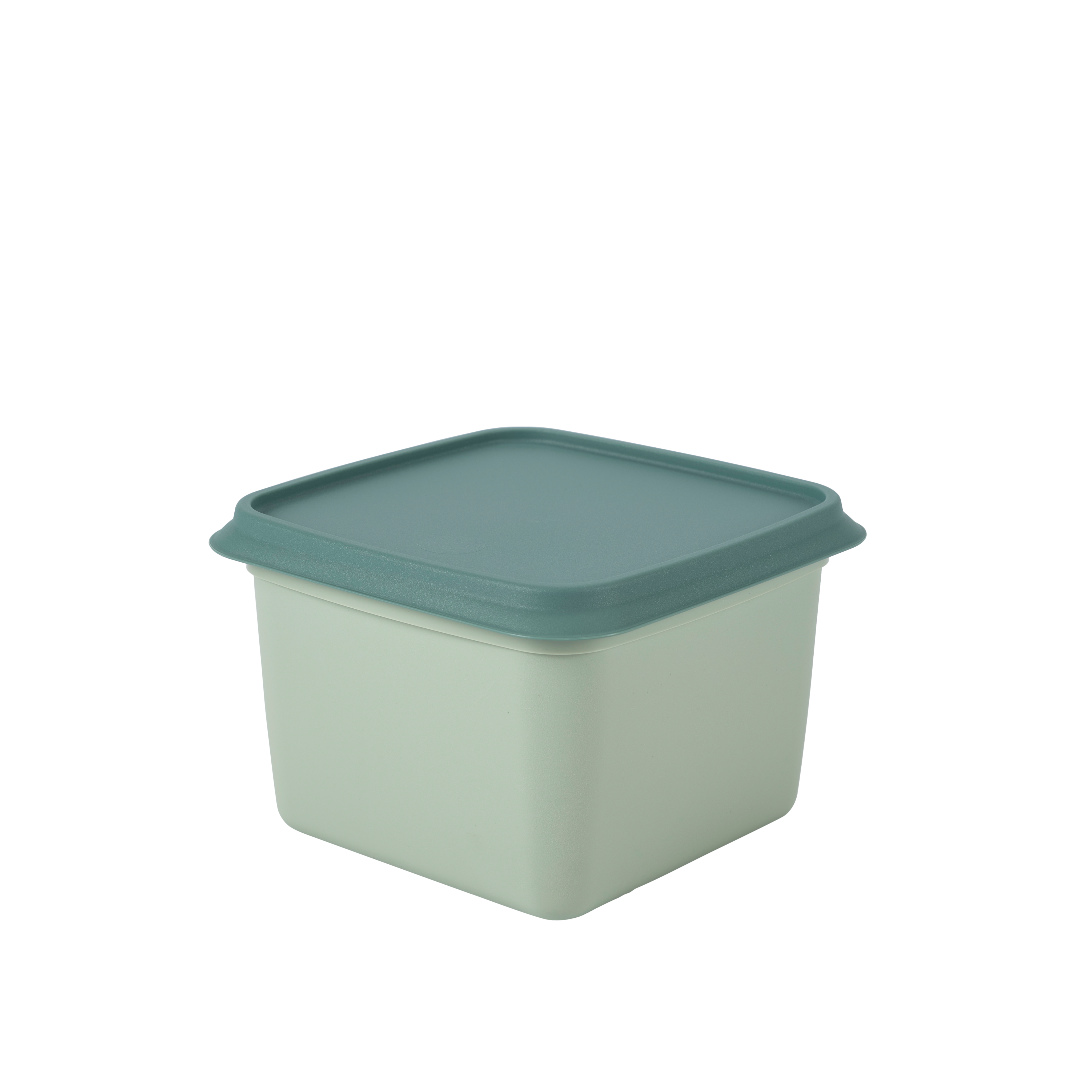 FREEZER Diepvriesdozen set van 10 munt, donkergroen