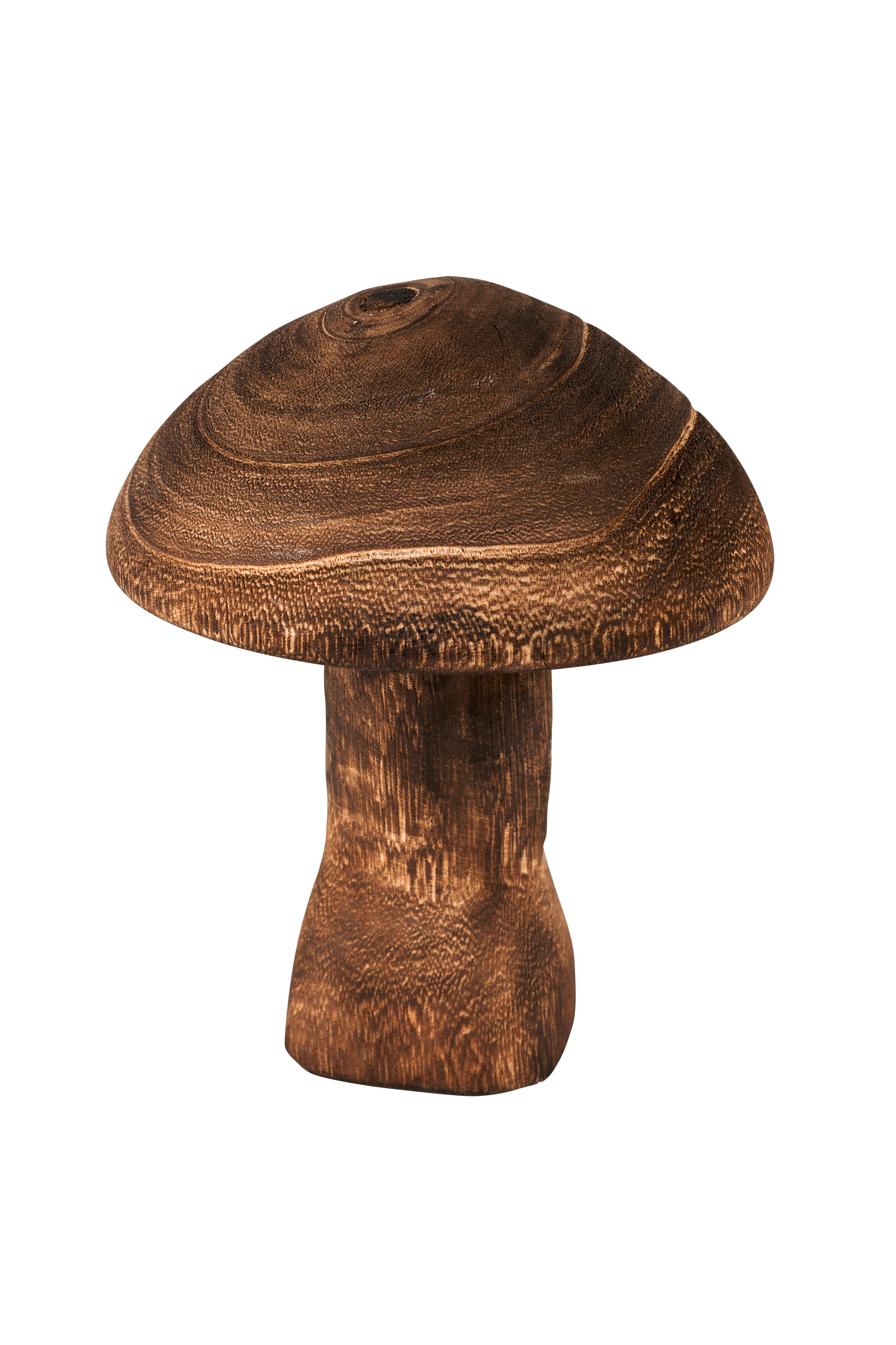 PAULO Paddenstoel bruinH 15 cm - Ø 13 cm