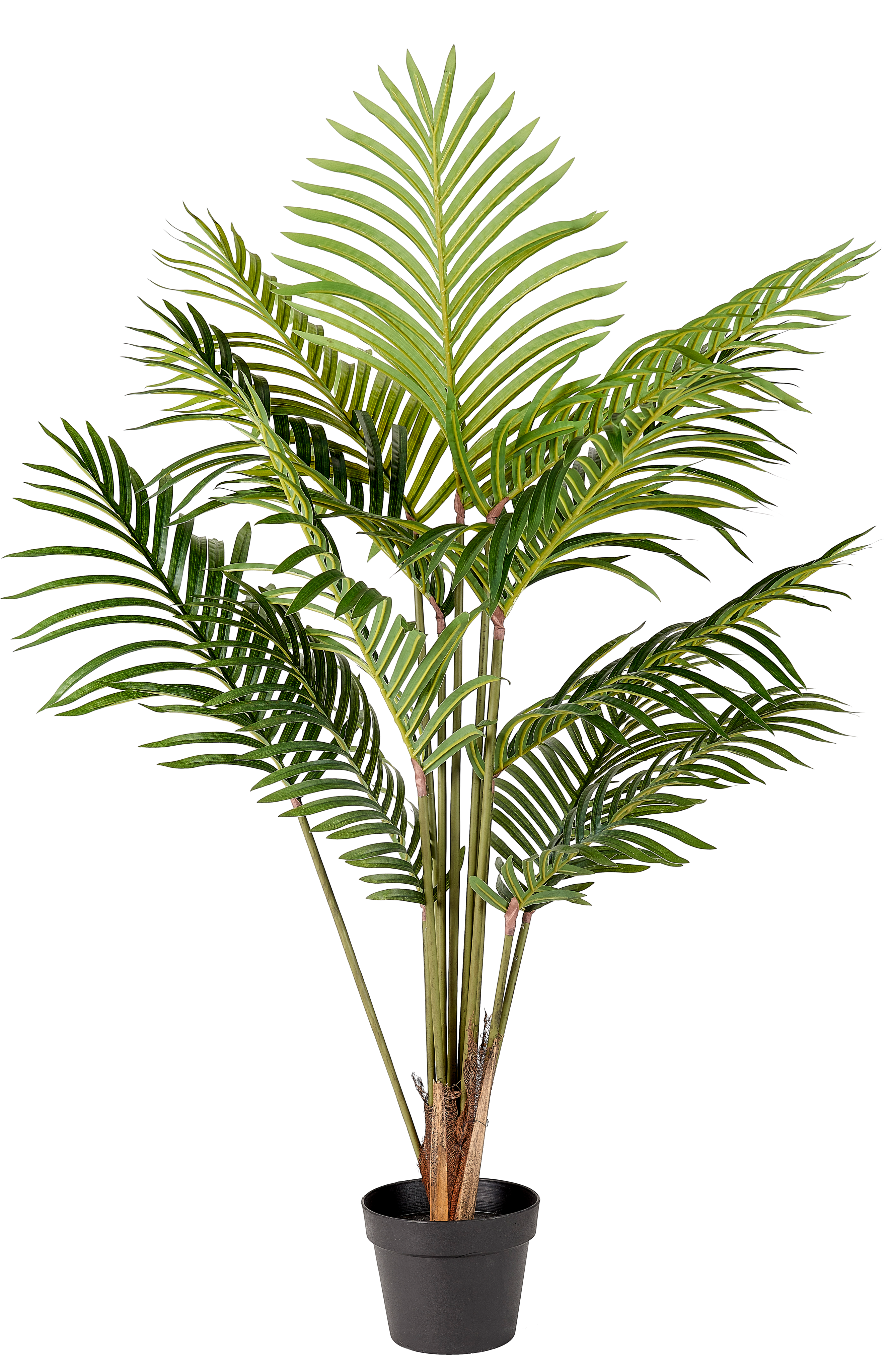 KWAI Palmboom groenH 120 cm